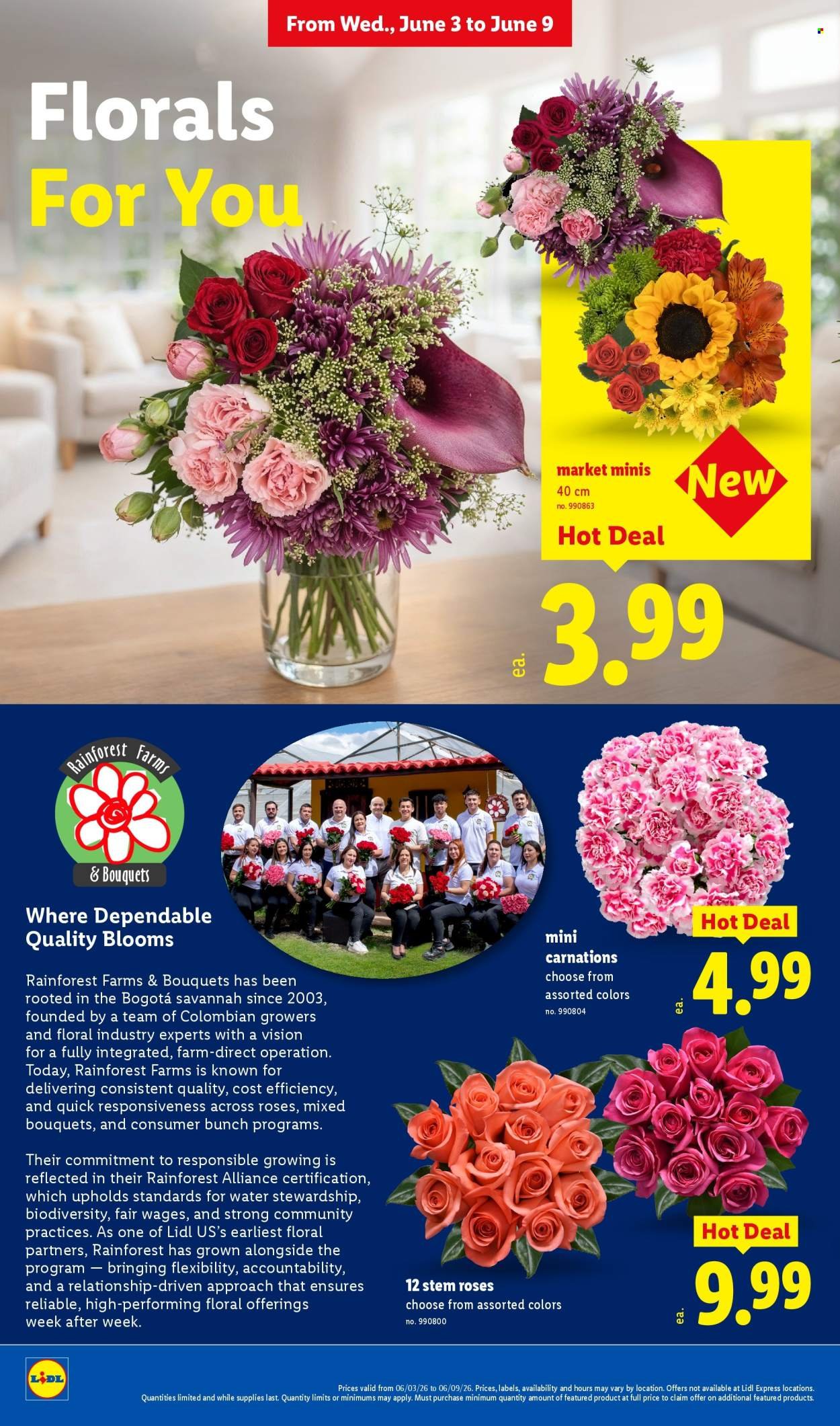 LIDL ad - Weekly Ad