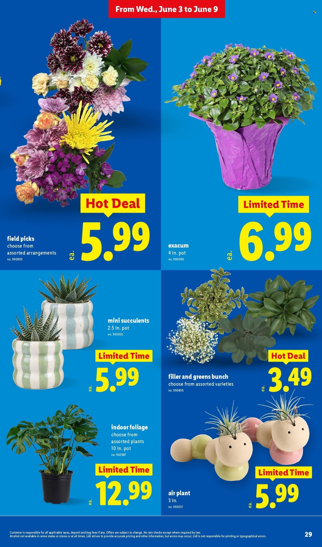 LIDL ad - Weekly Ad
