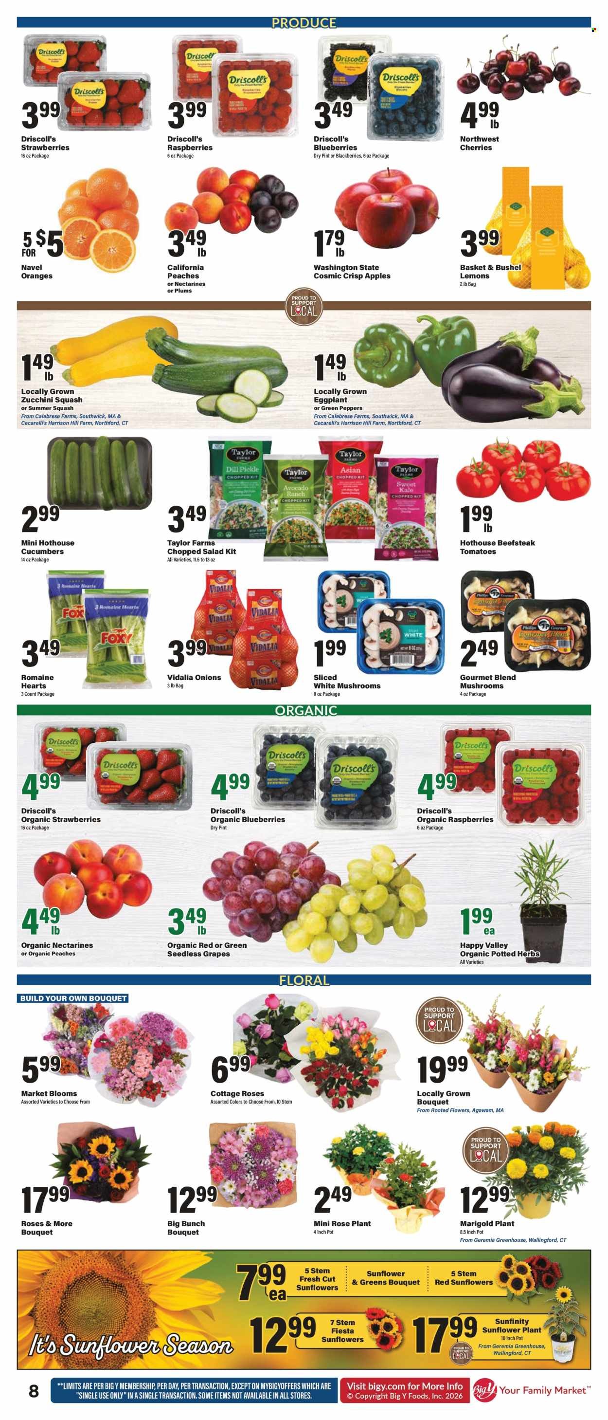 BIG Y ad - Weekly Ad