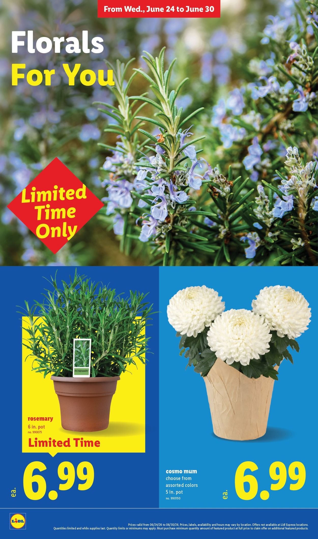 LIDL ad - Weekly Ad