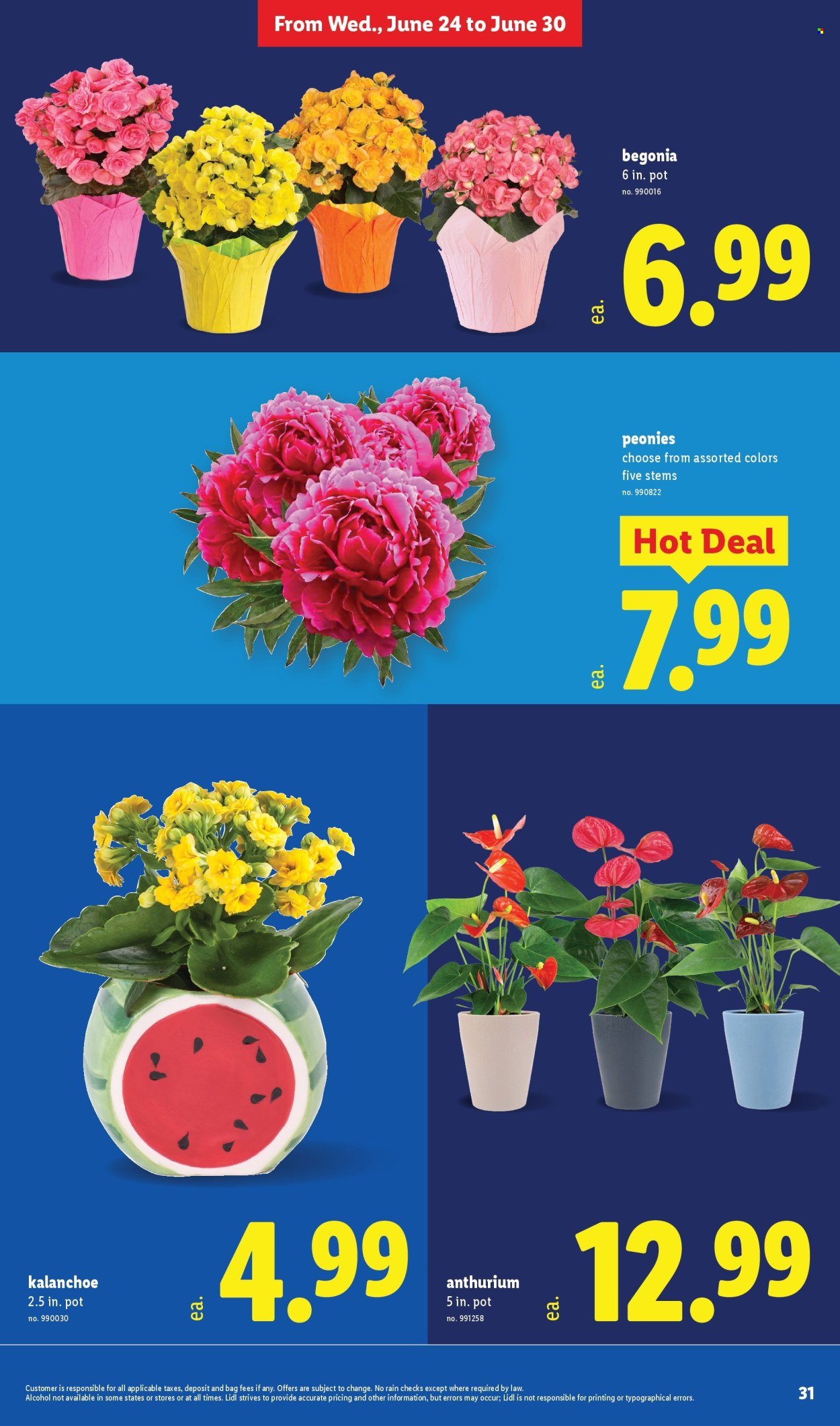 LIDL ad - Weekly Ad