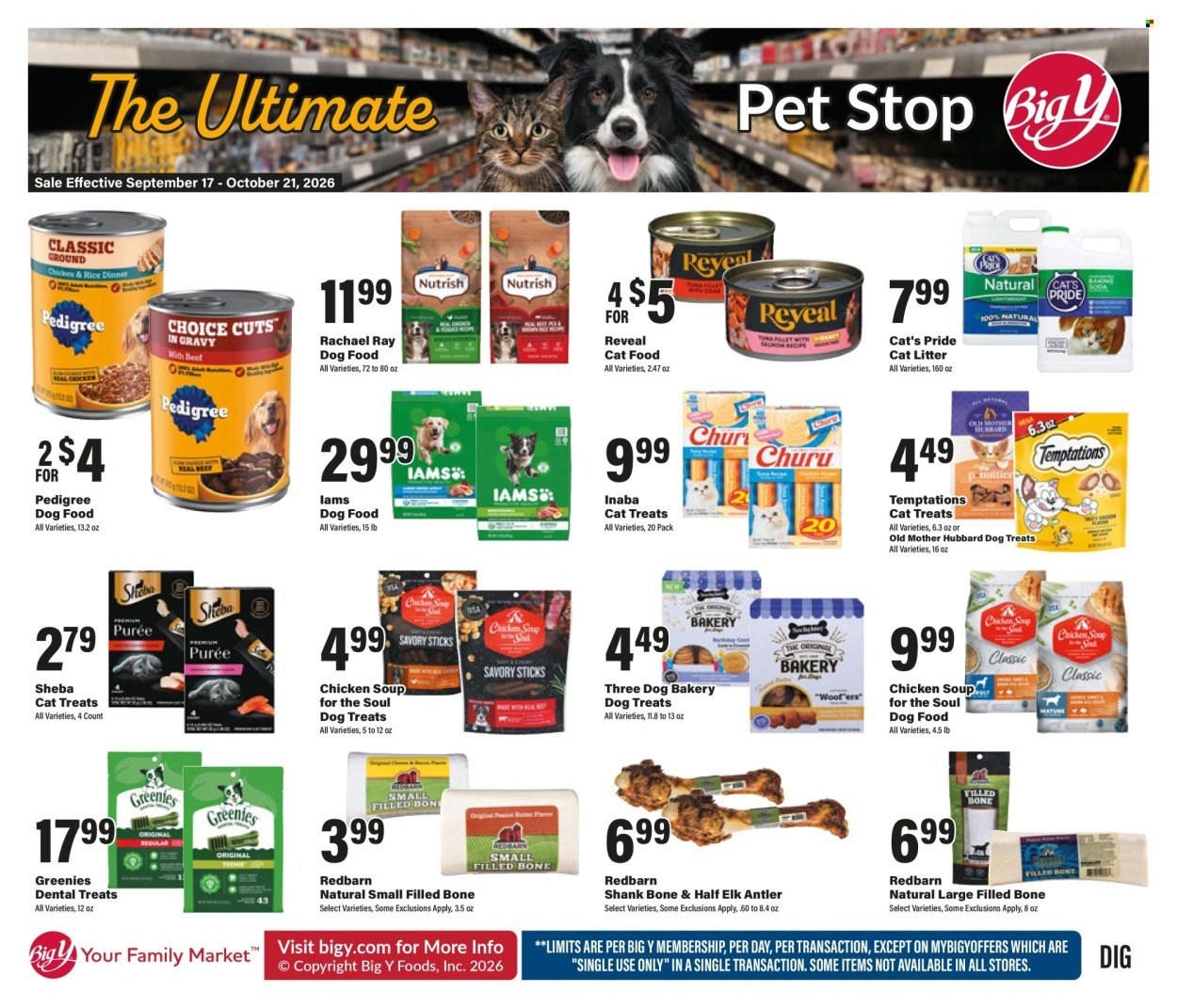 BIG Y ad - The Ultimate Pet Shop