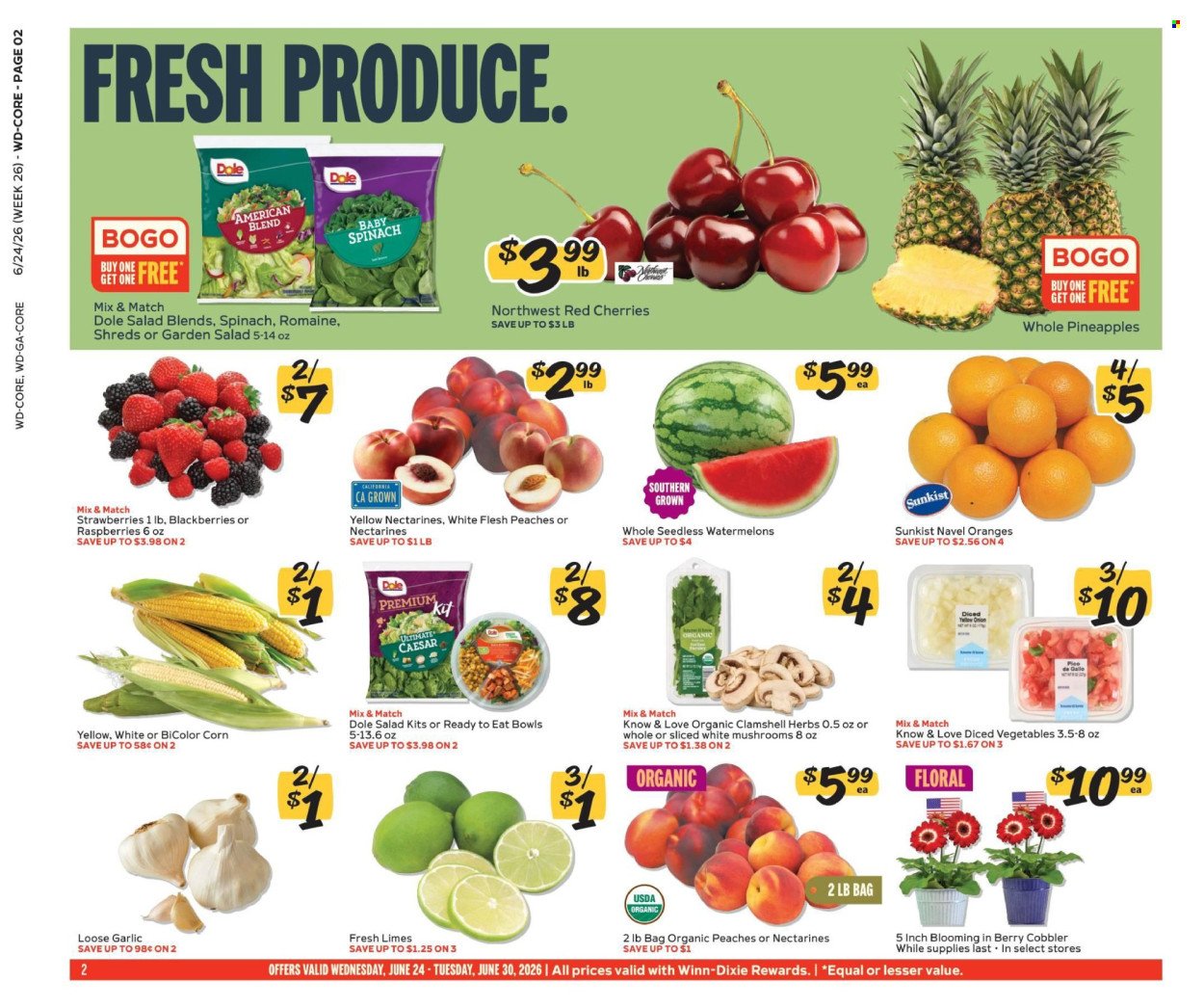 WINN DIXIE ad - Weekly Ad