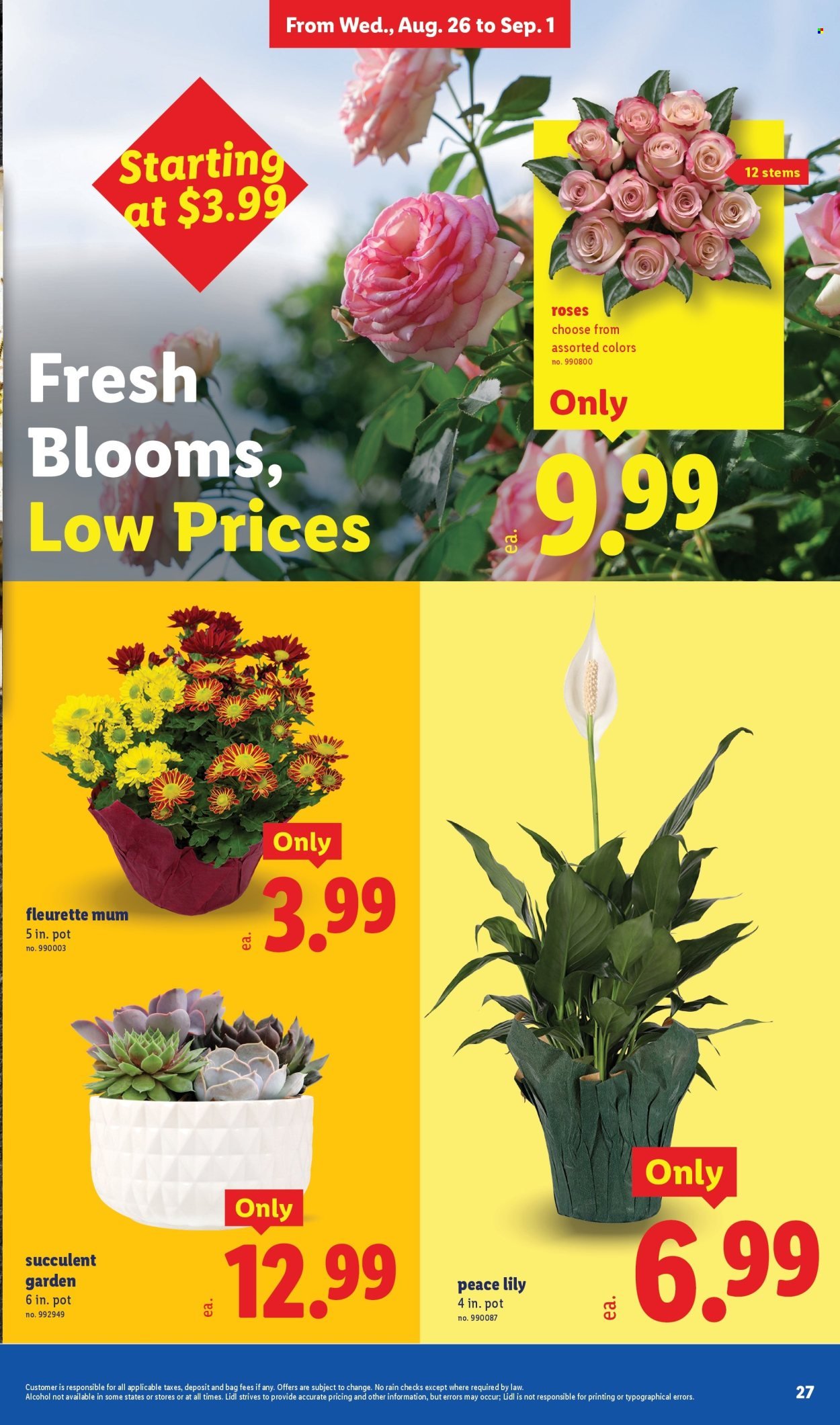 LIDL ad - Weekly Ad