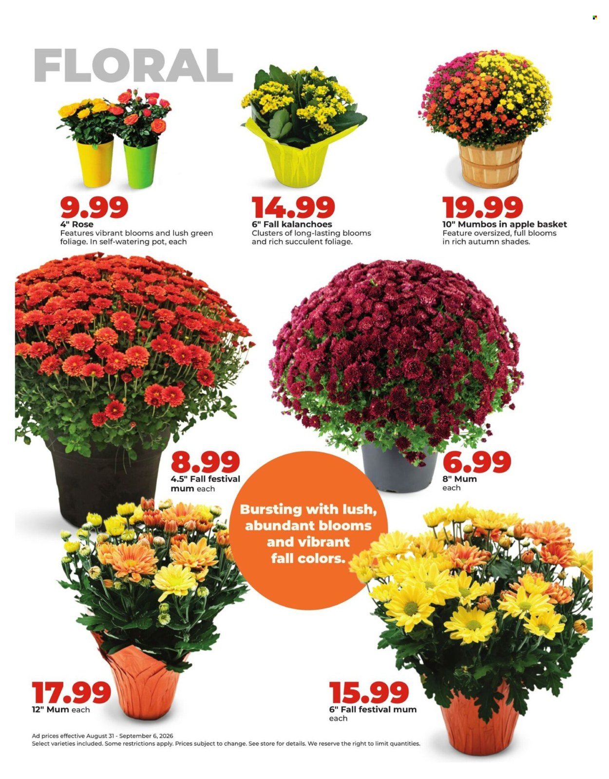 HY-VEE ad - Weekly Ad