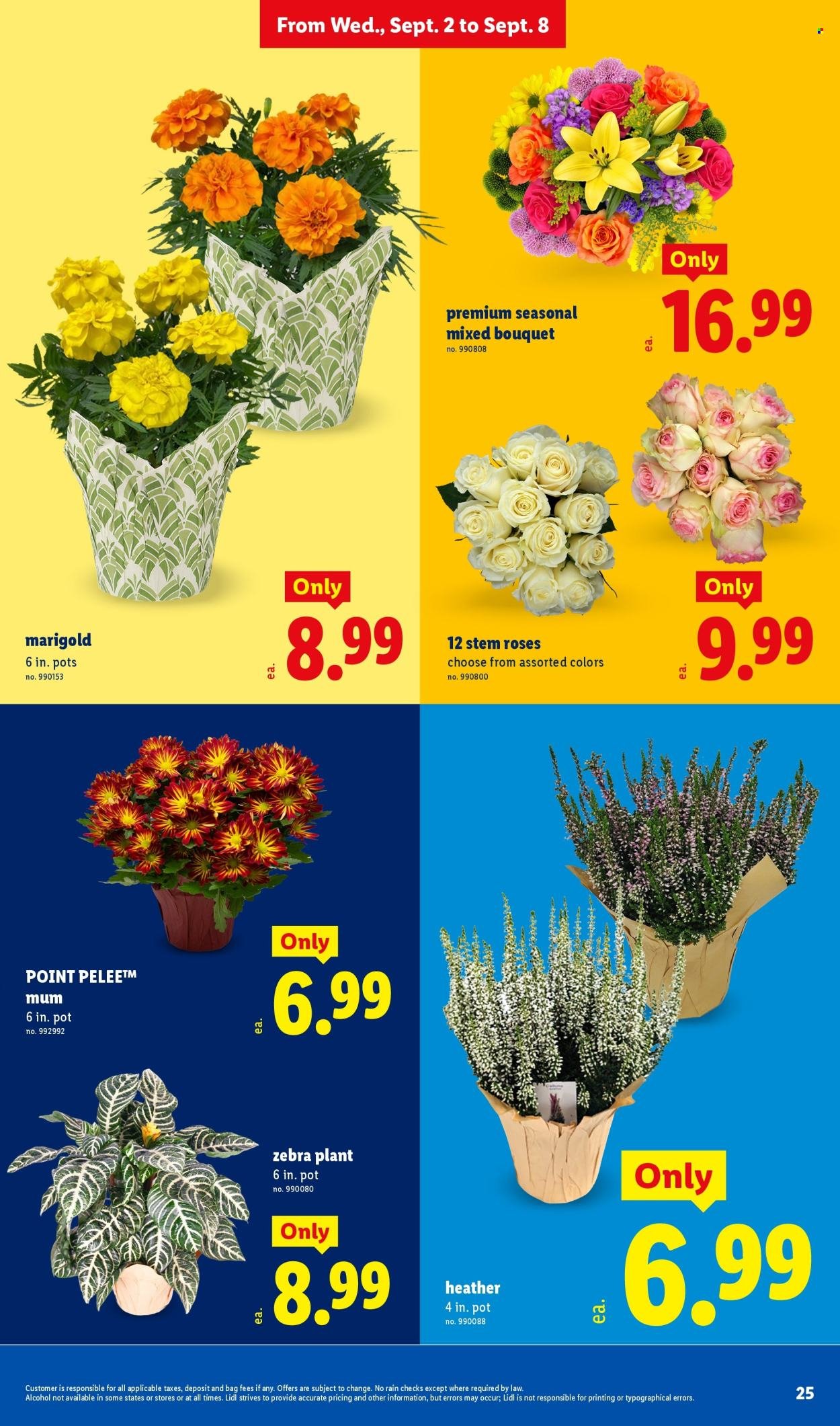 LIDL ad - Weekly Ad