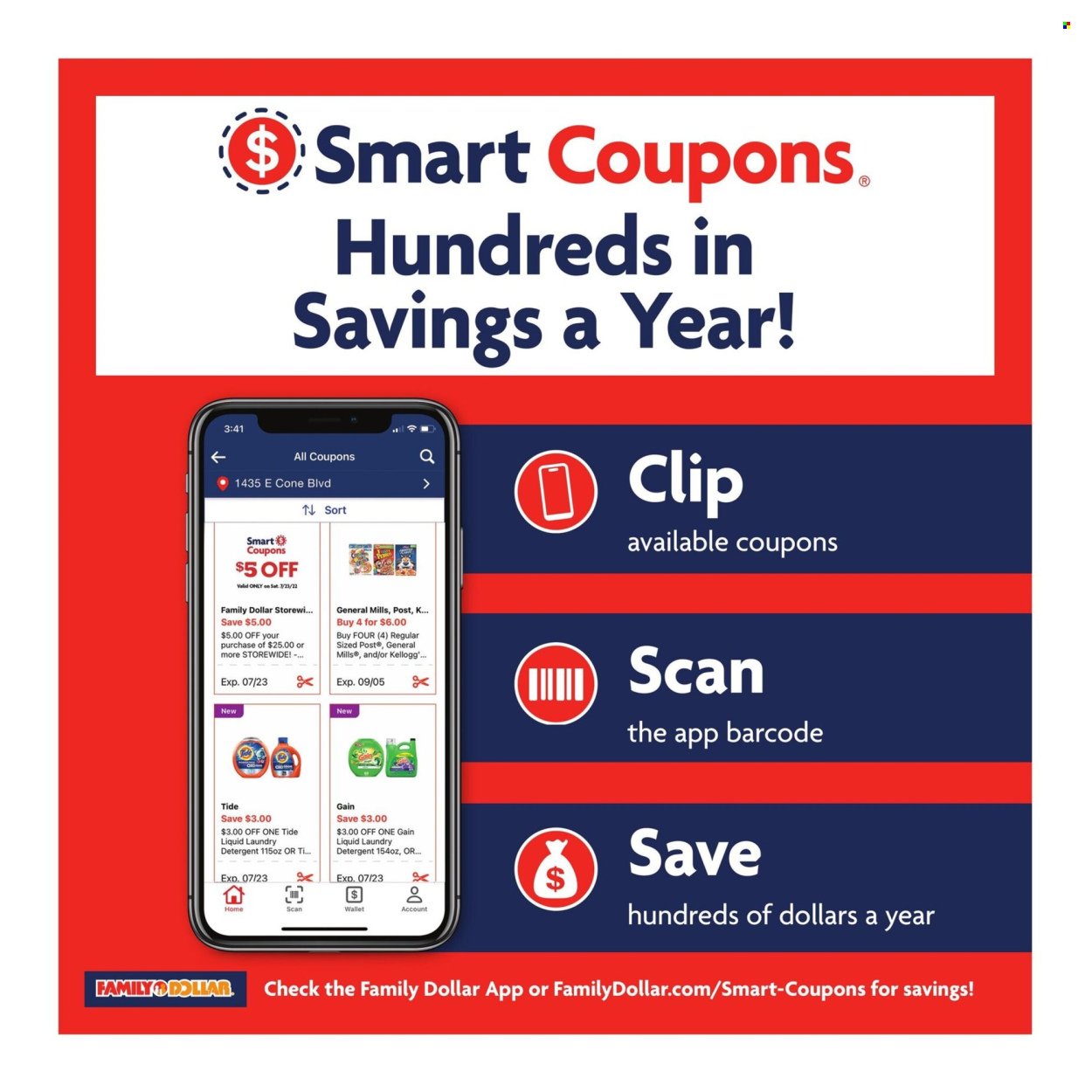 FAMILY DOLLAR ad - Spring/Summer Book