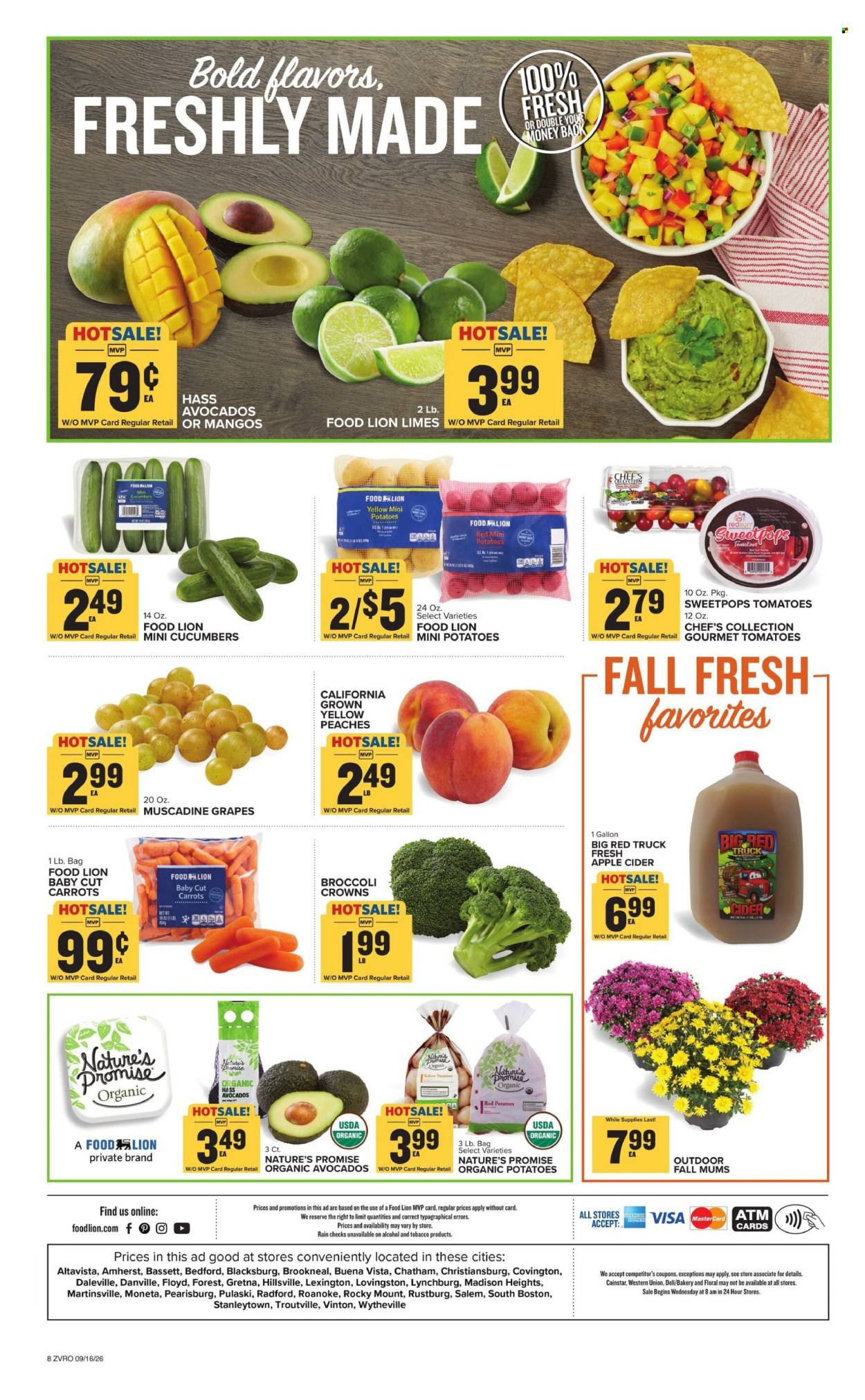 FOOD LION ad - Weekly Ad