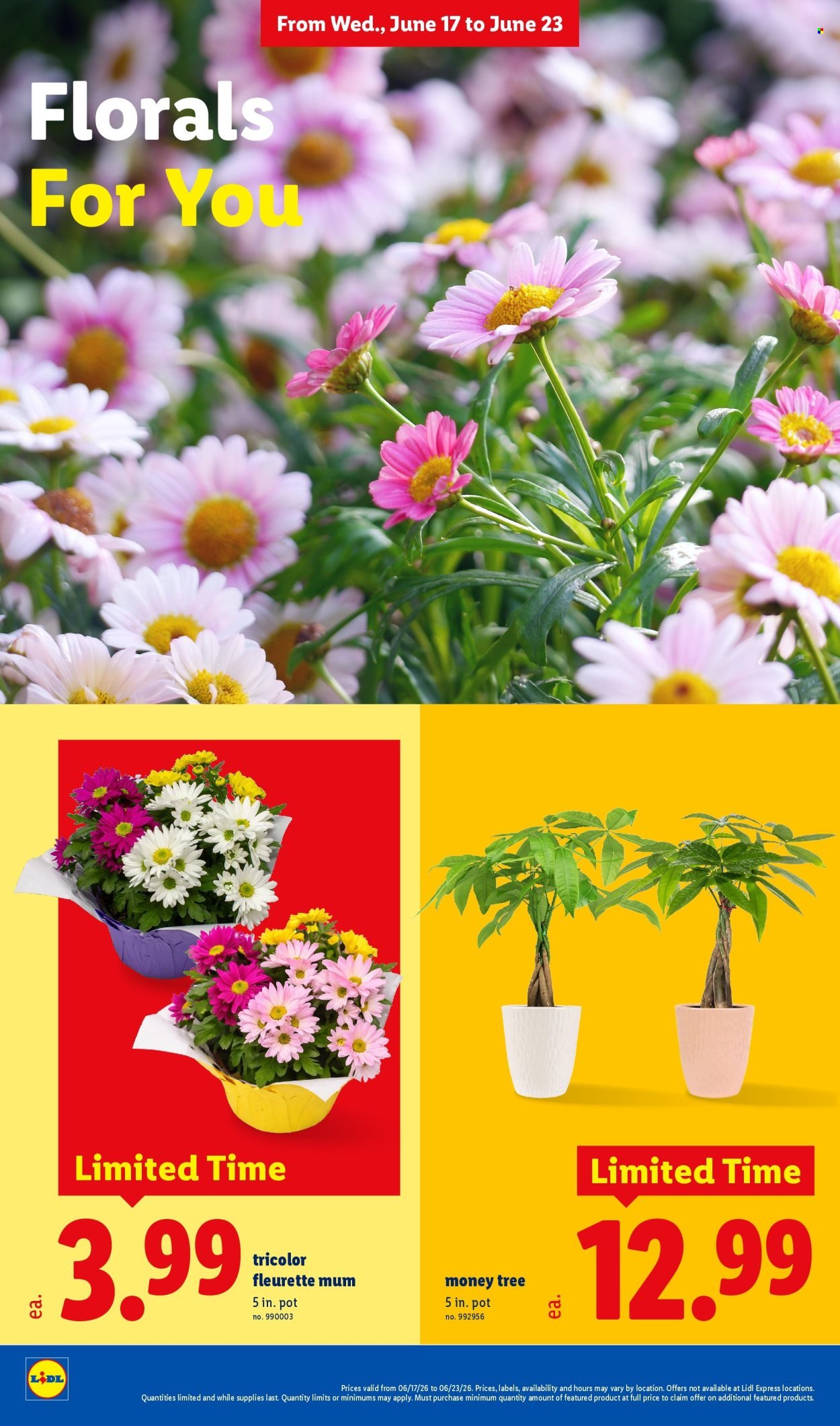 LIDL ad - Weekly Ad