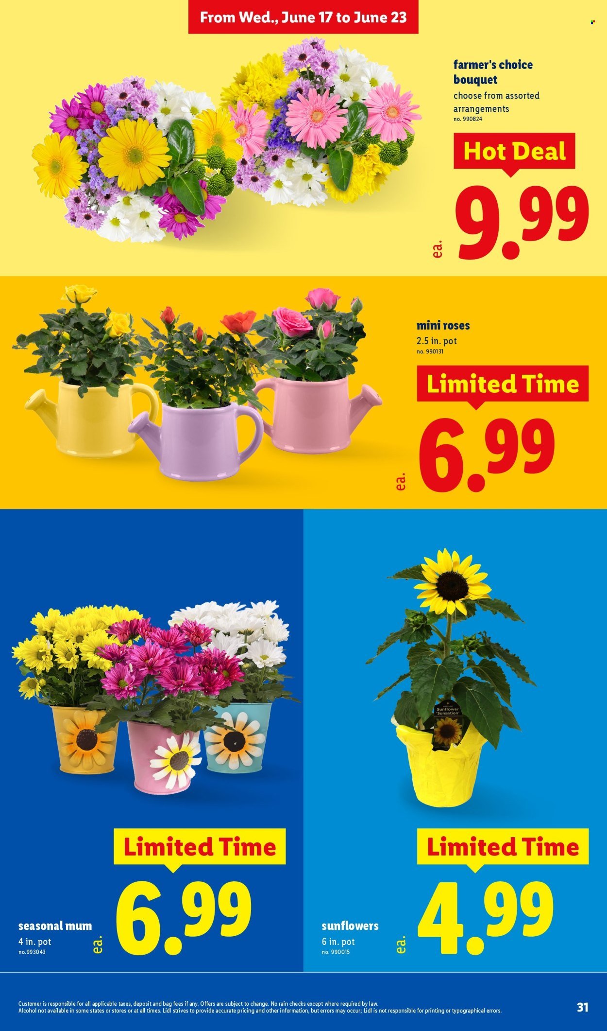 LIDL ad - Weekly Ad