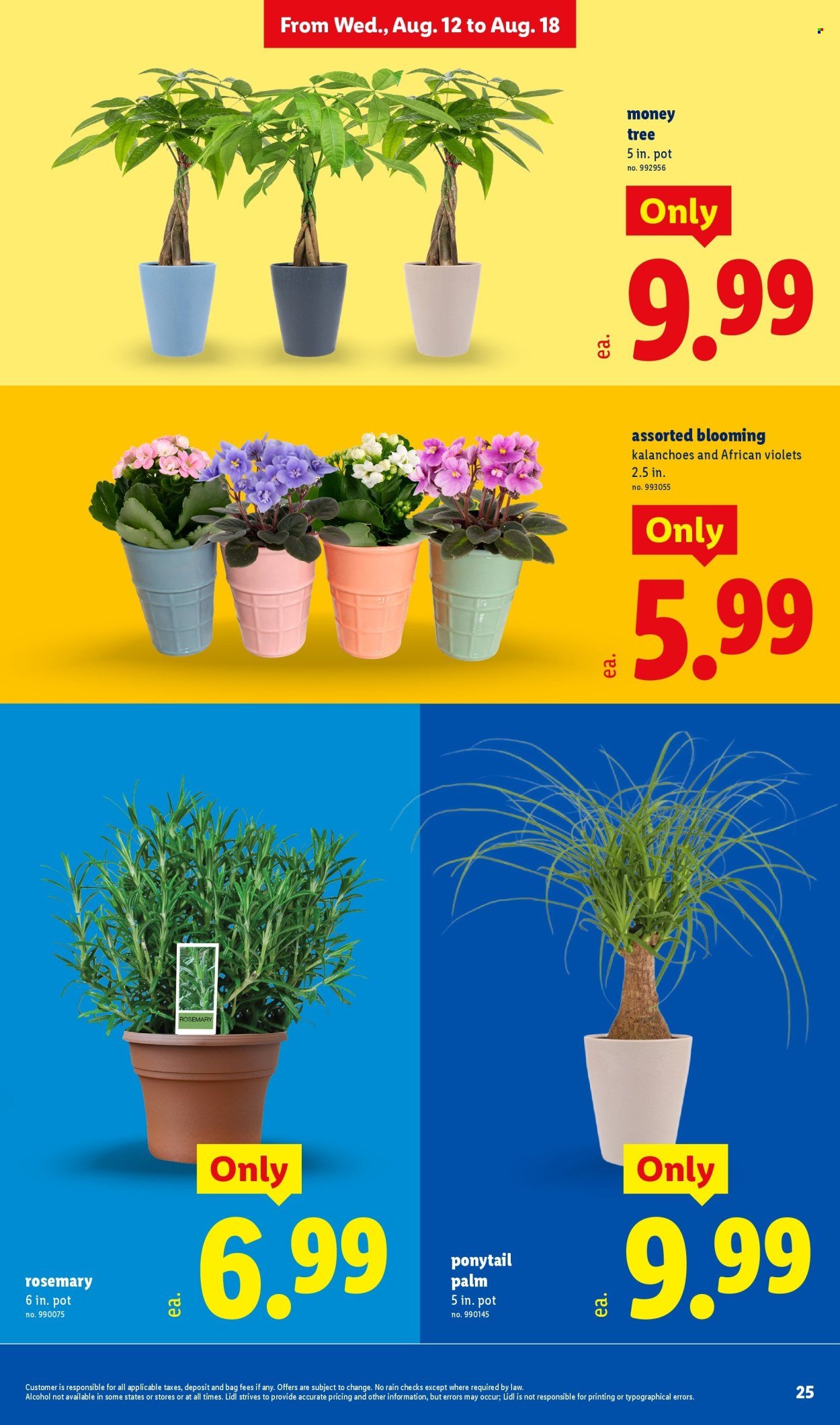 LIDL ad - Weekly Ad