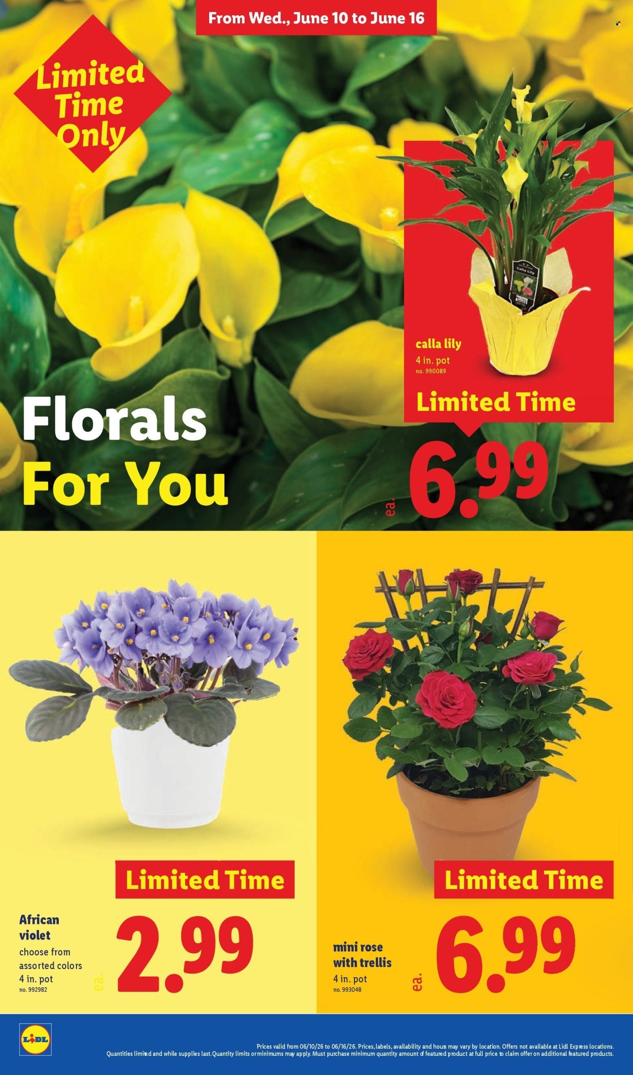 LIDL ad - Weekly Ad