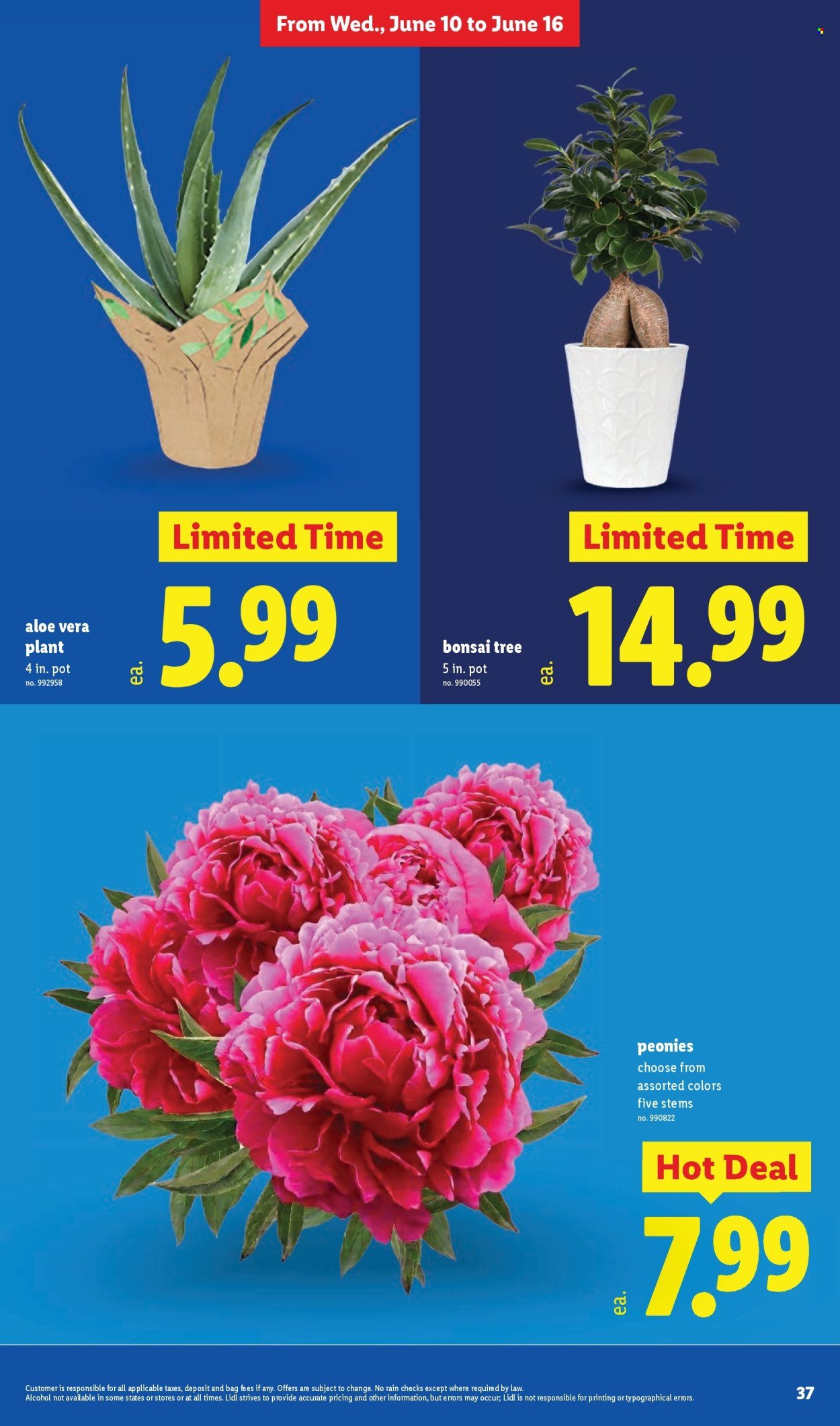 LIDL ad - Weekly Ad