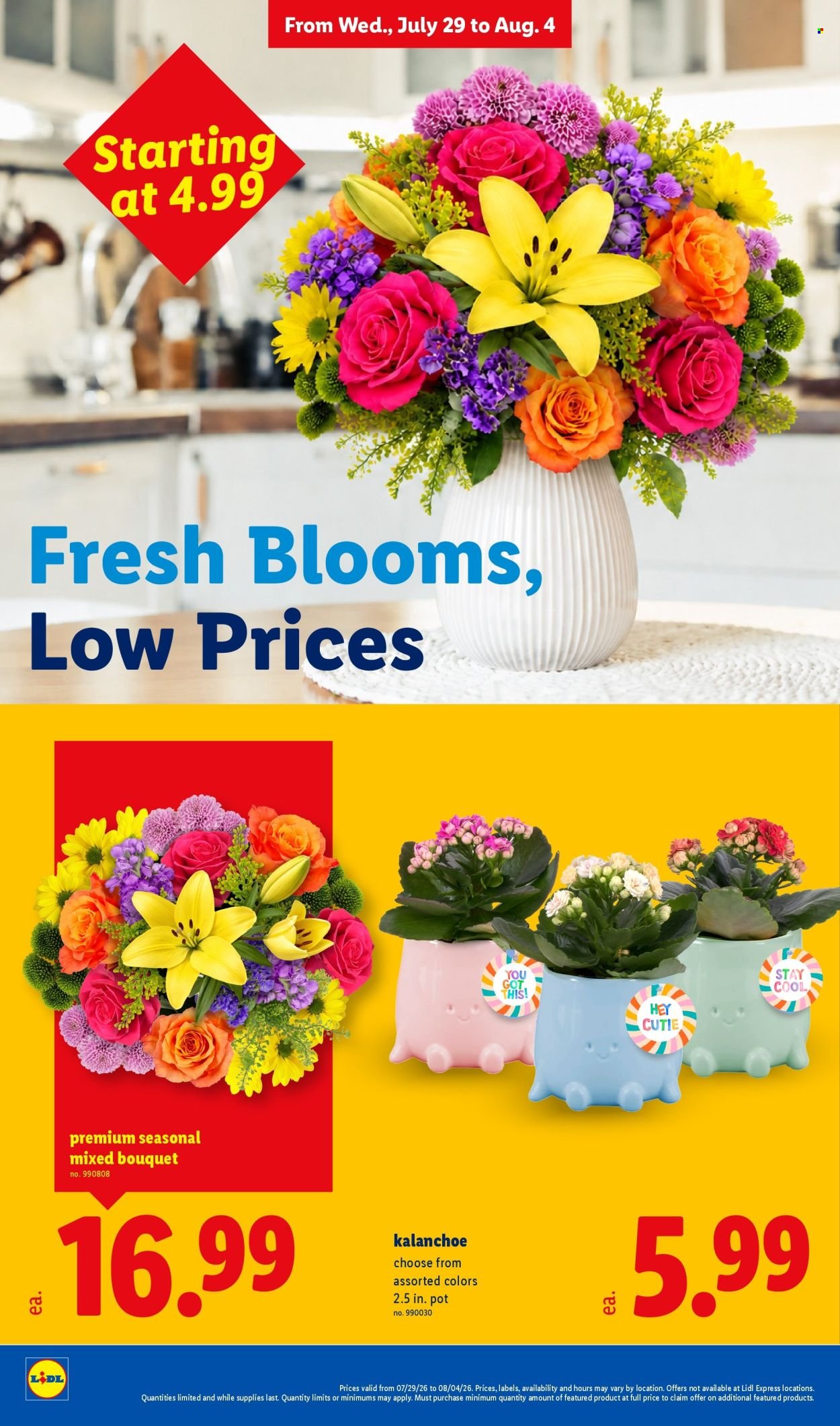 LIDL ad - Weekly Ad