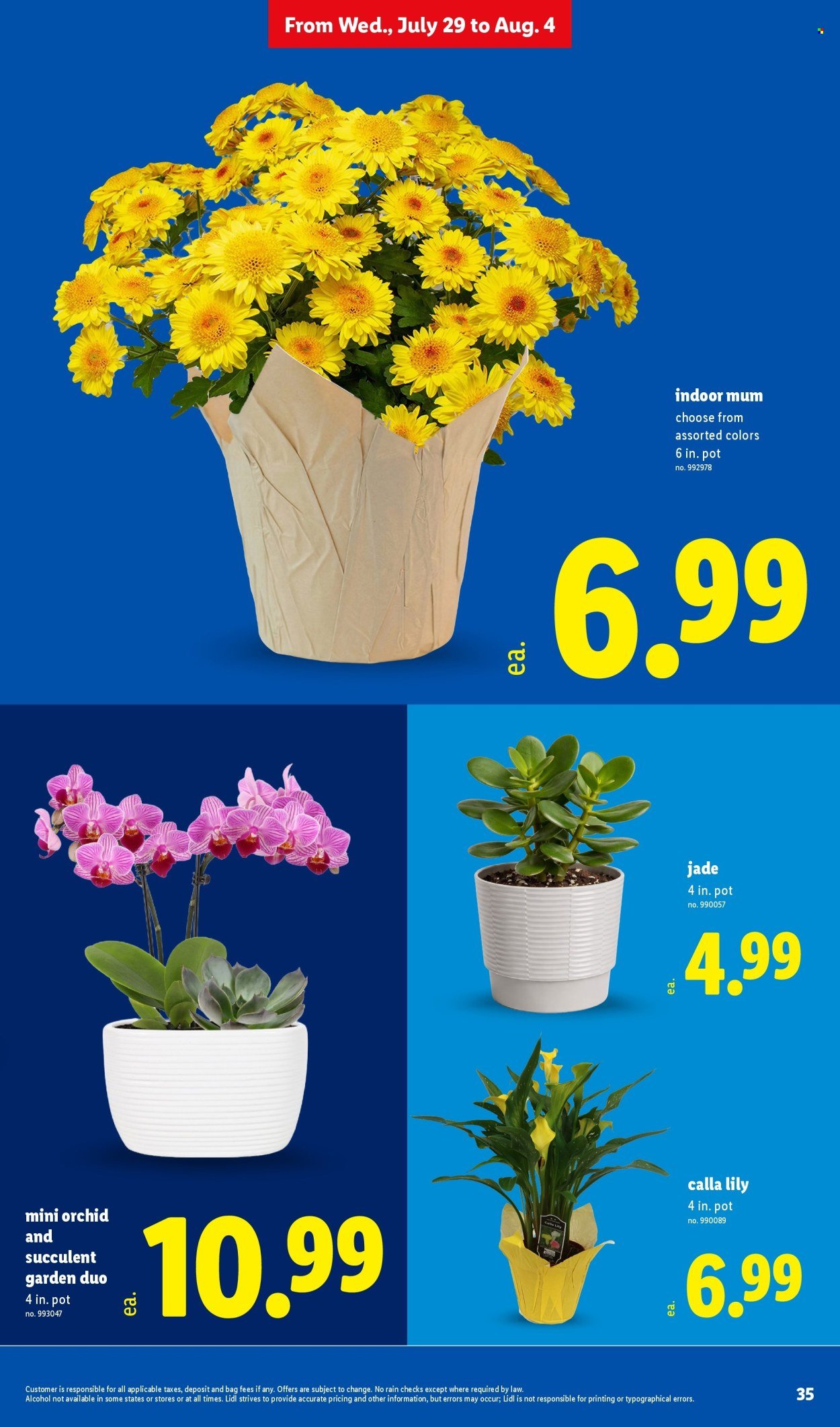 LIDL ad - Weekly Ad