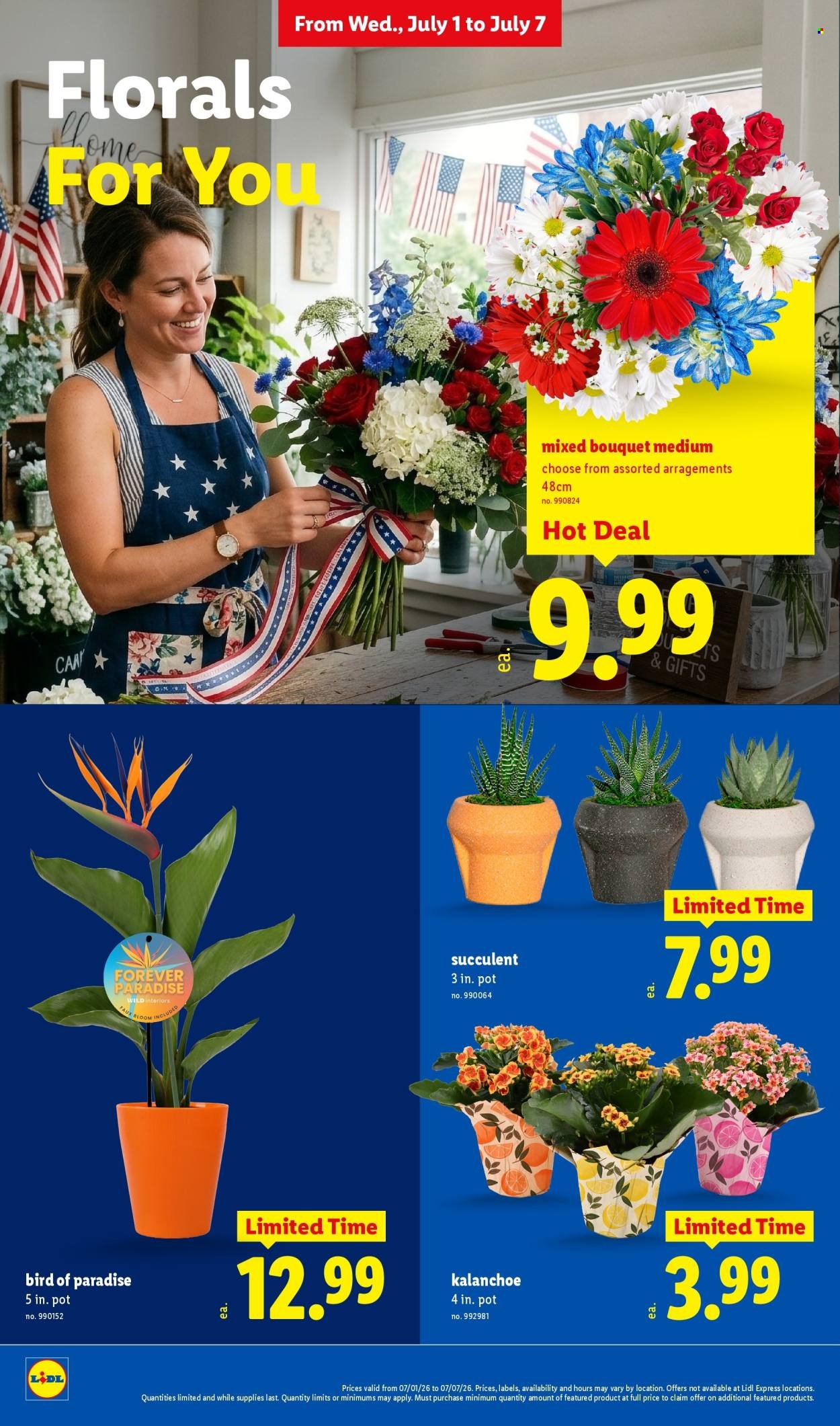 LIDL ad - Weekly Ad