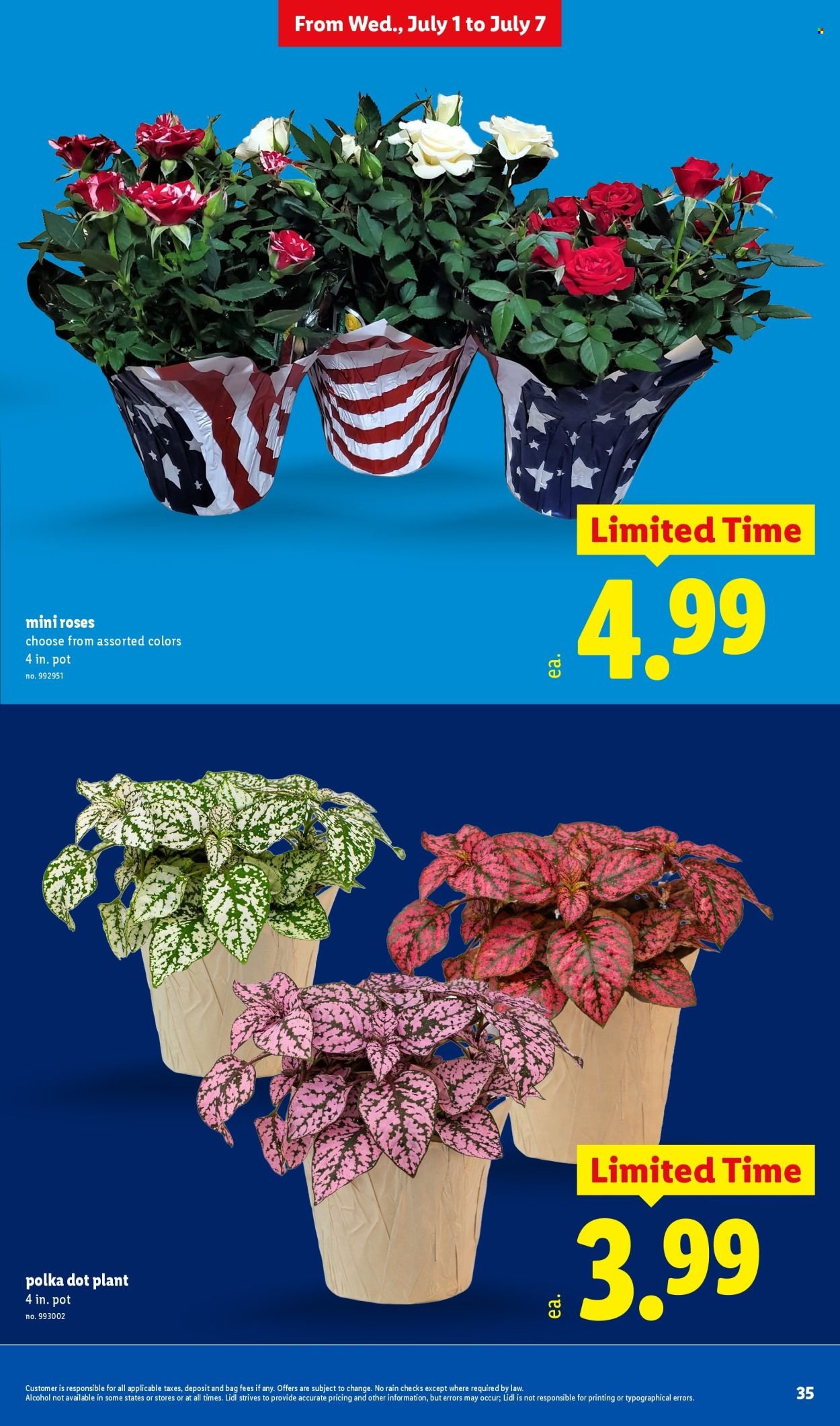 LIDL ad - Weekly Ad