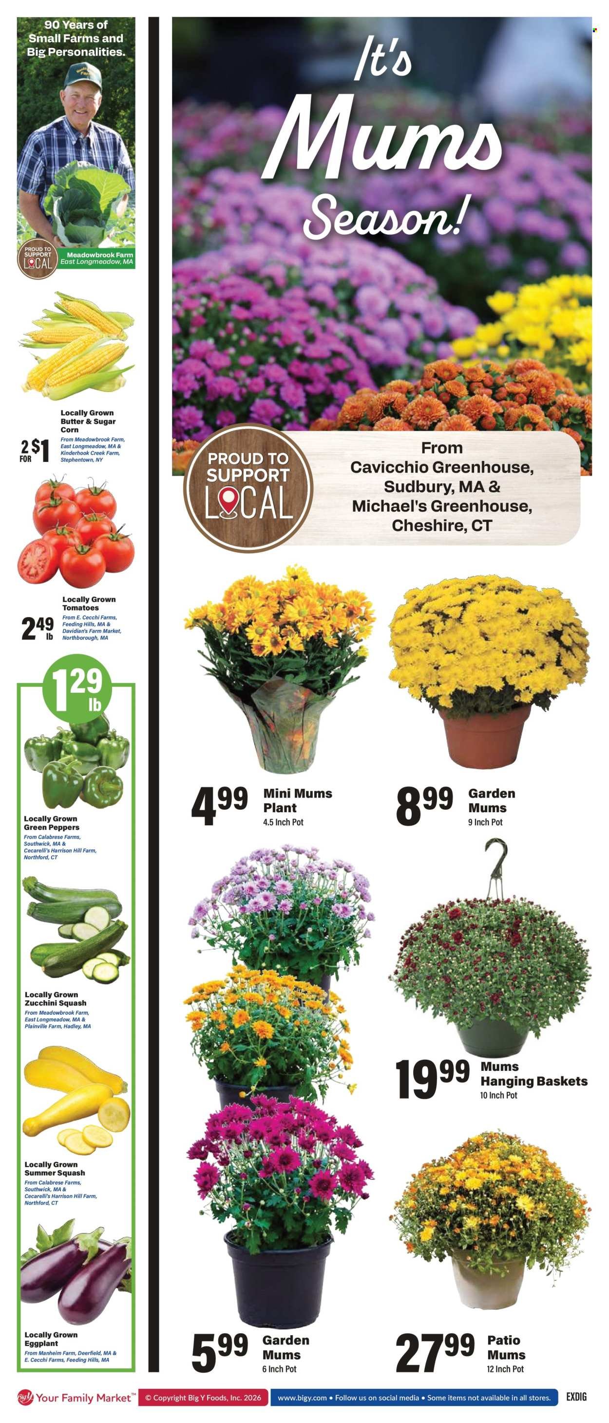 BIG Y ad - Weekly Ad