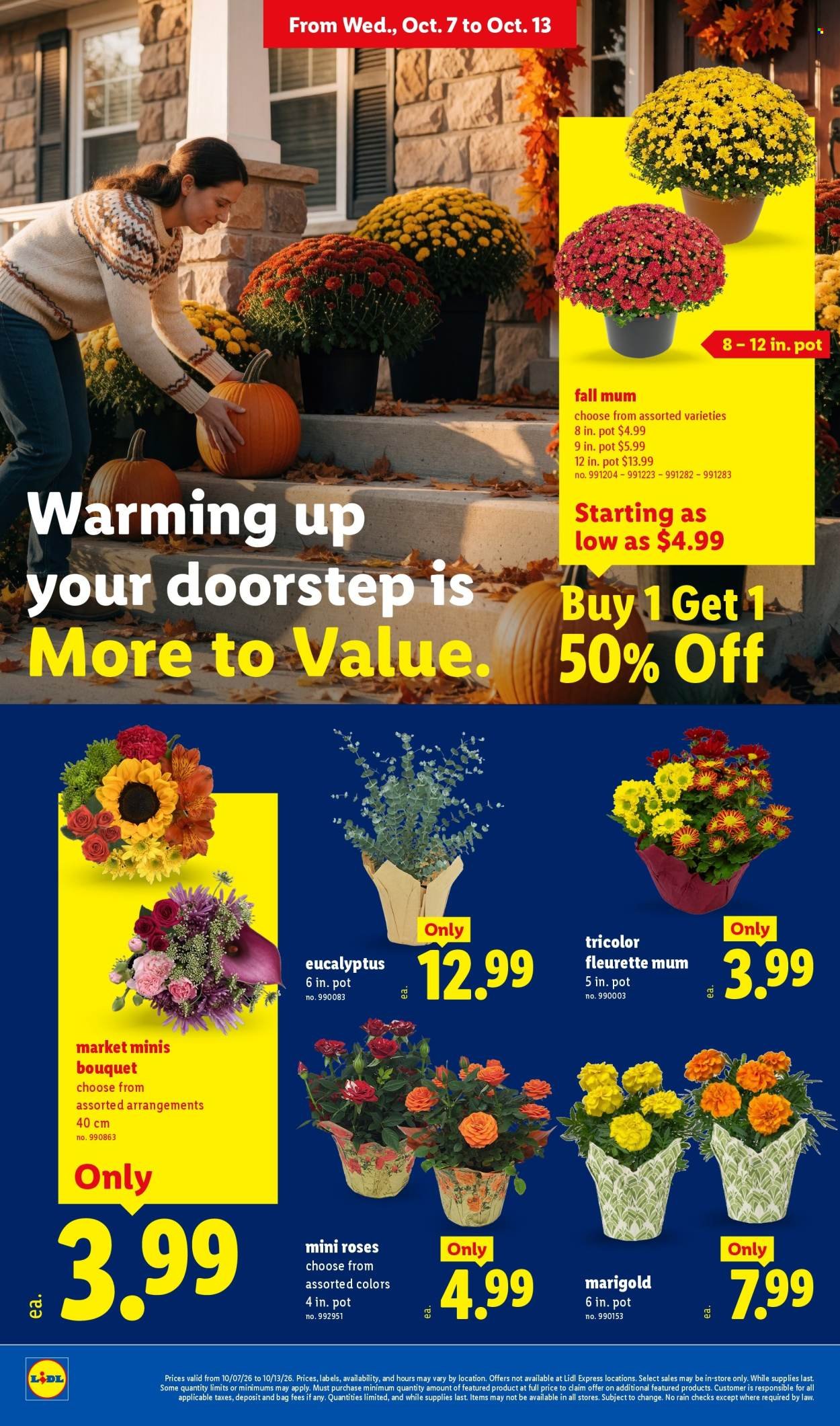 LIDL ad - Weekly Ad