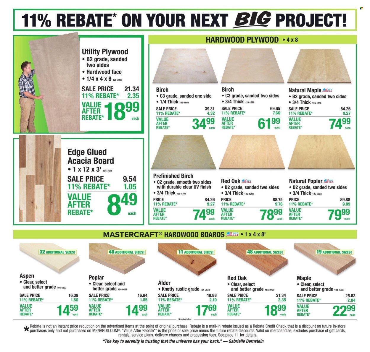 MENARDS ad - 11% Rebate* Sale
