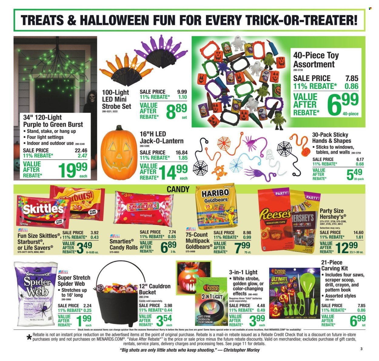MENARDS ad - 11% Rebate* Sale