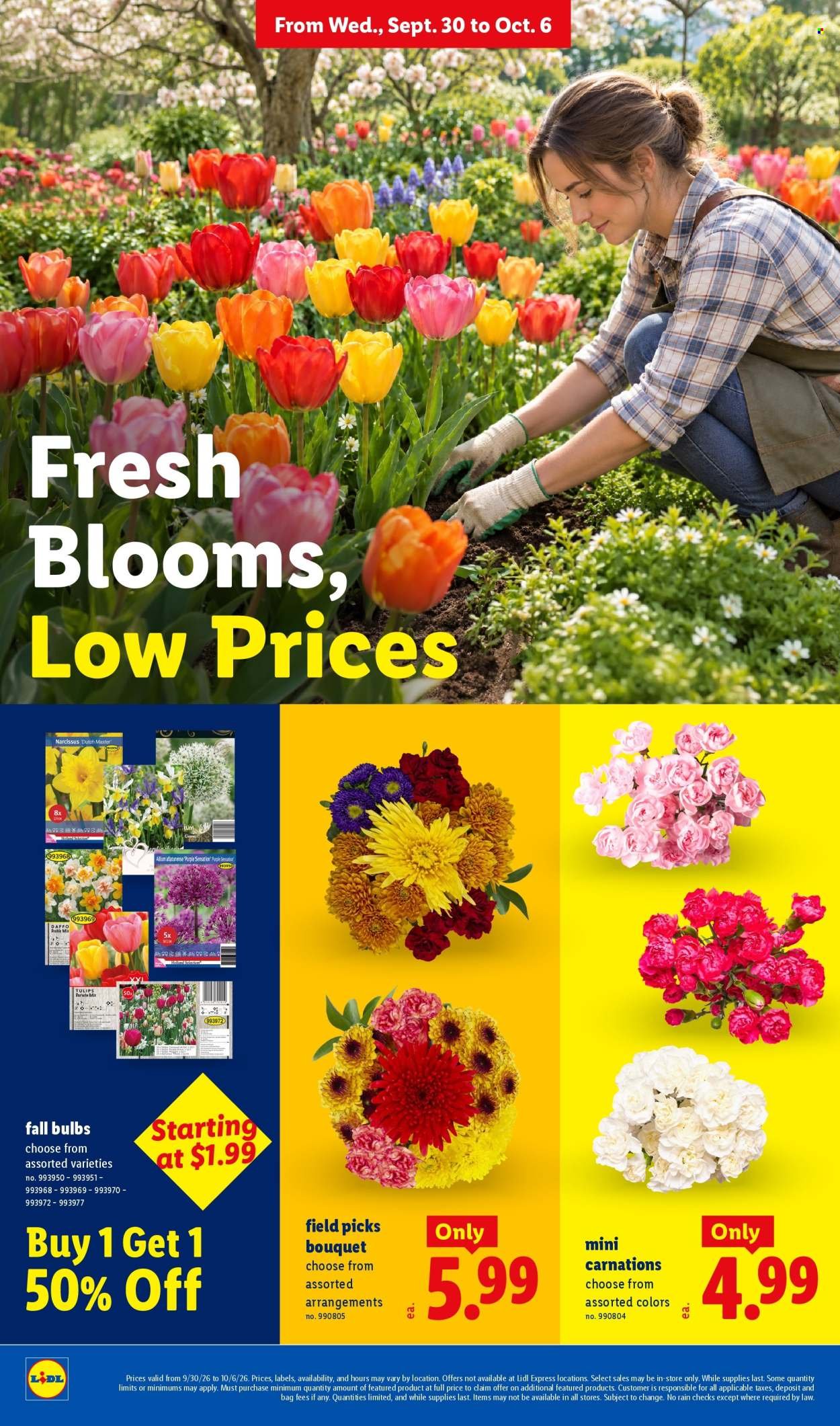 LIDL ad - Weekly Ad