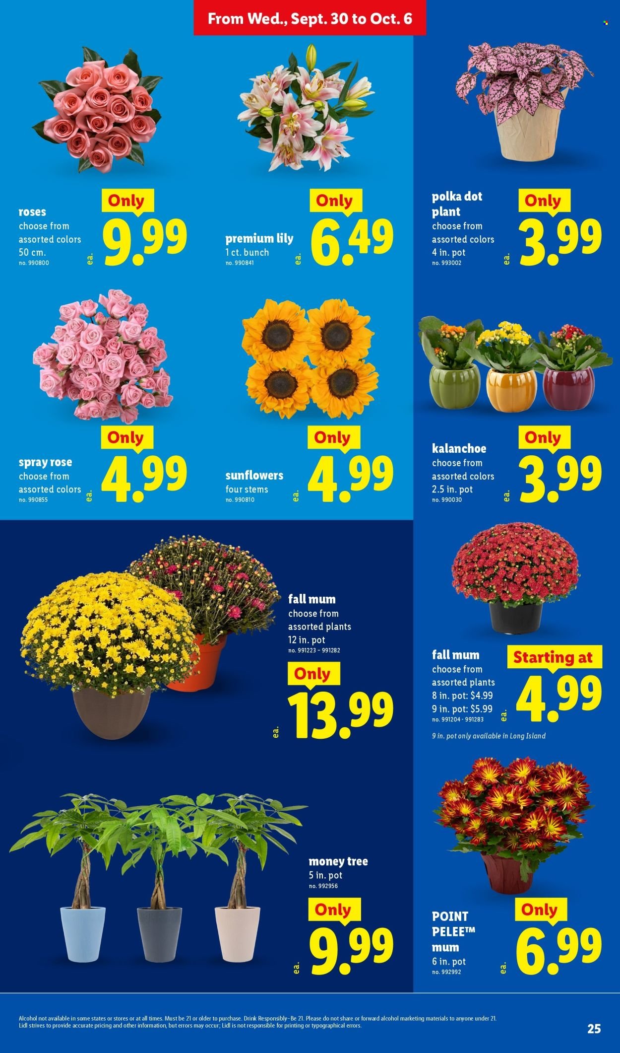 LIDL ad - Weekly Ad
