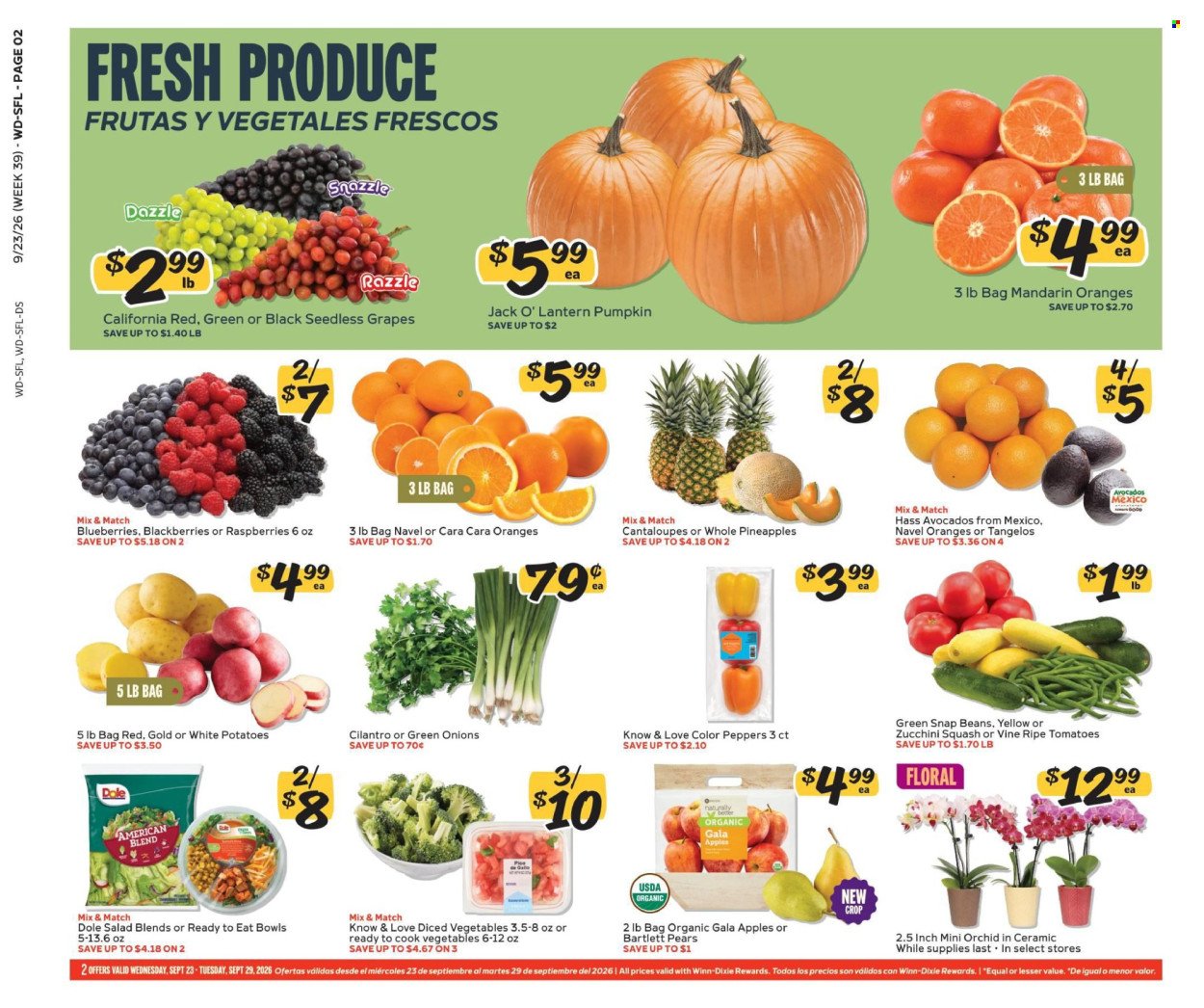 WINN DIXIE ad - Weekly Ad