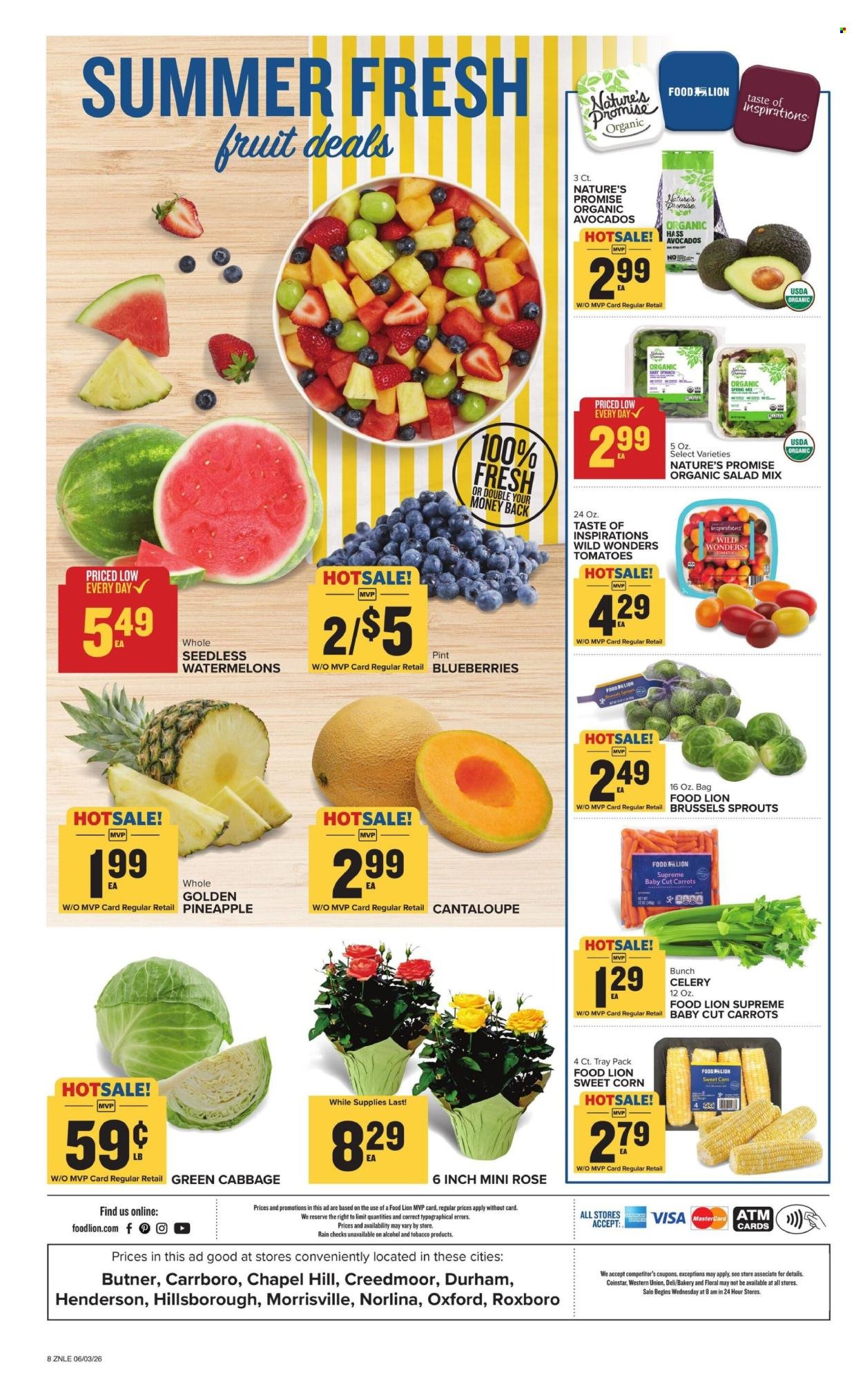 FOOD LION ad - Weekly Ad