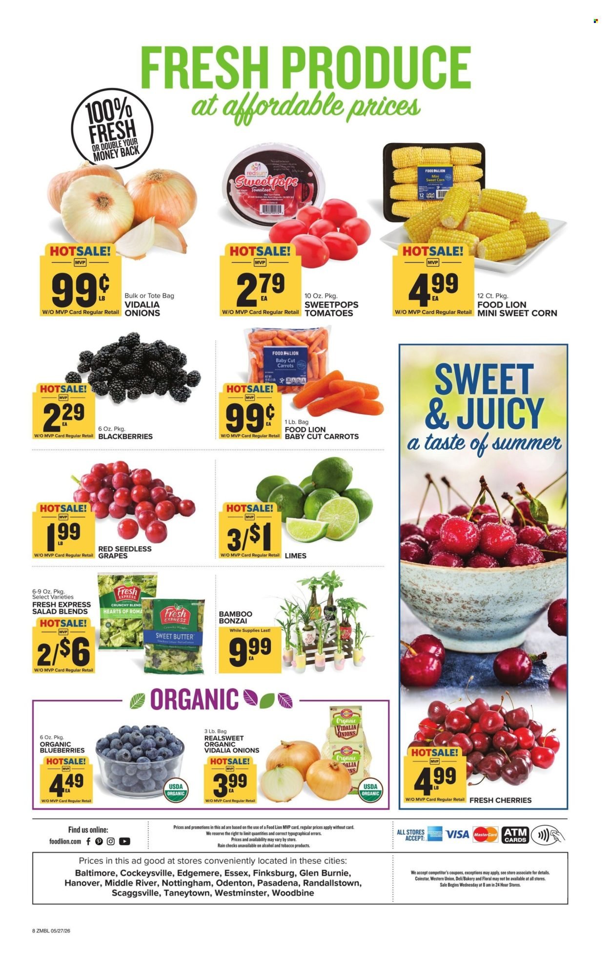 FOOD LION ad - Weekly Ad