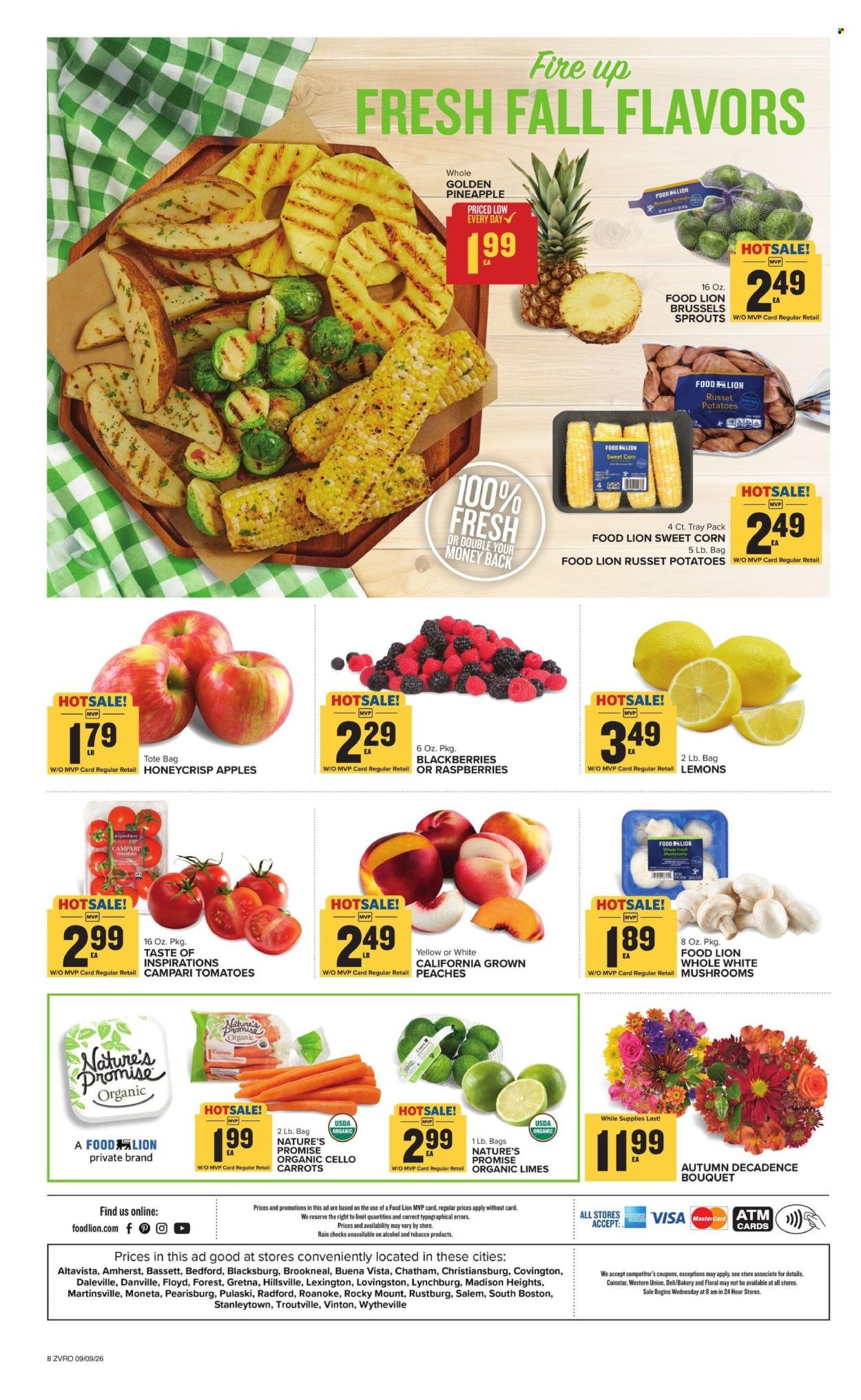 FOOD LION ad - Weekly Ad