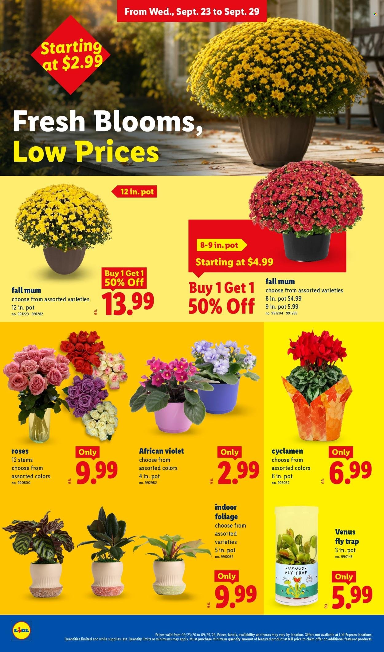 LIDL ad - Weekly Ad