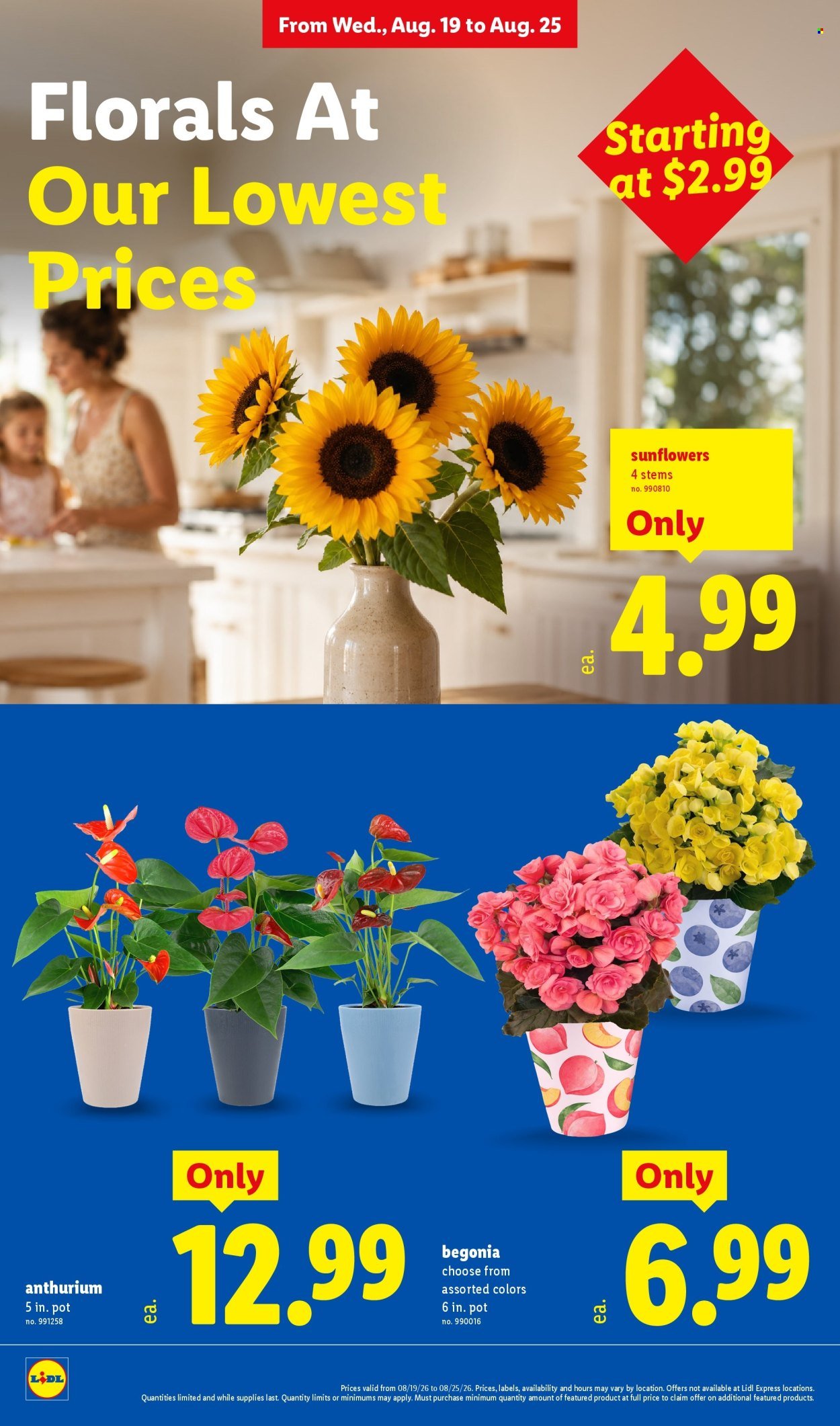 LIDL ad - Weekly Ad