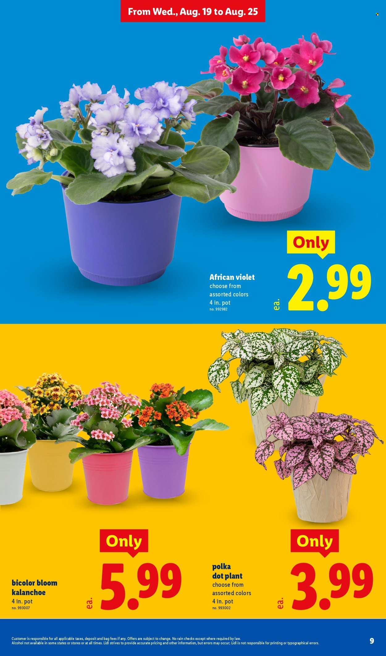 LIDL ad - Weekly Ad
