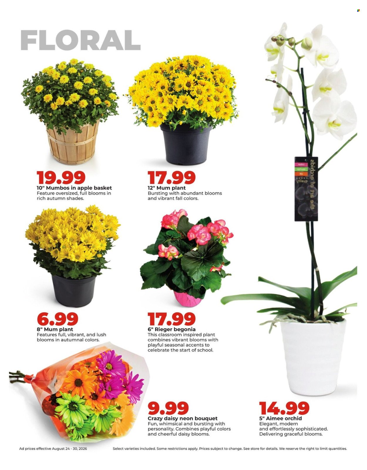 HY-VEE ad - Weekly Ad