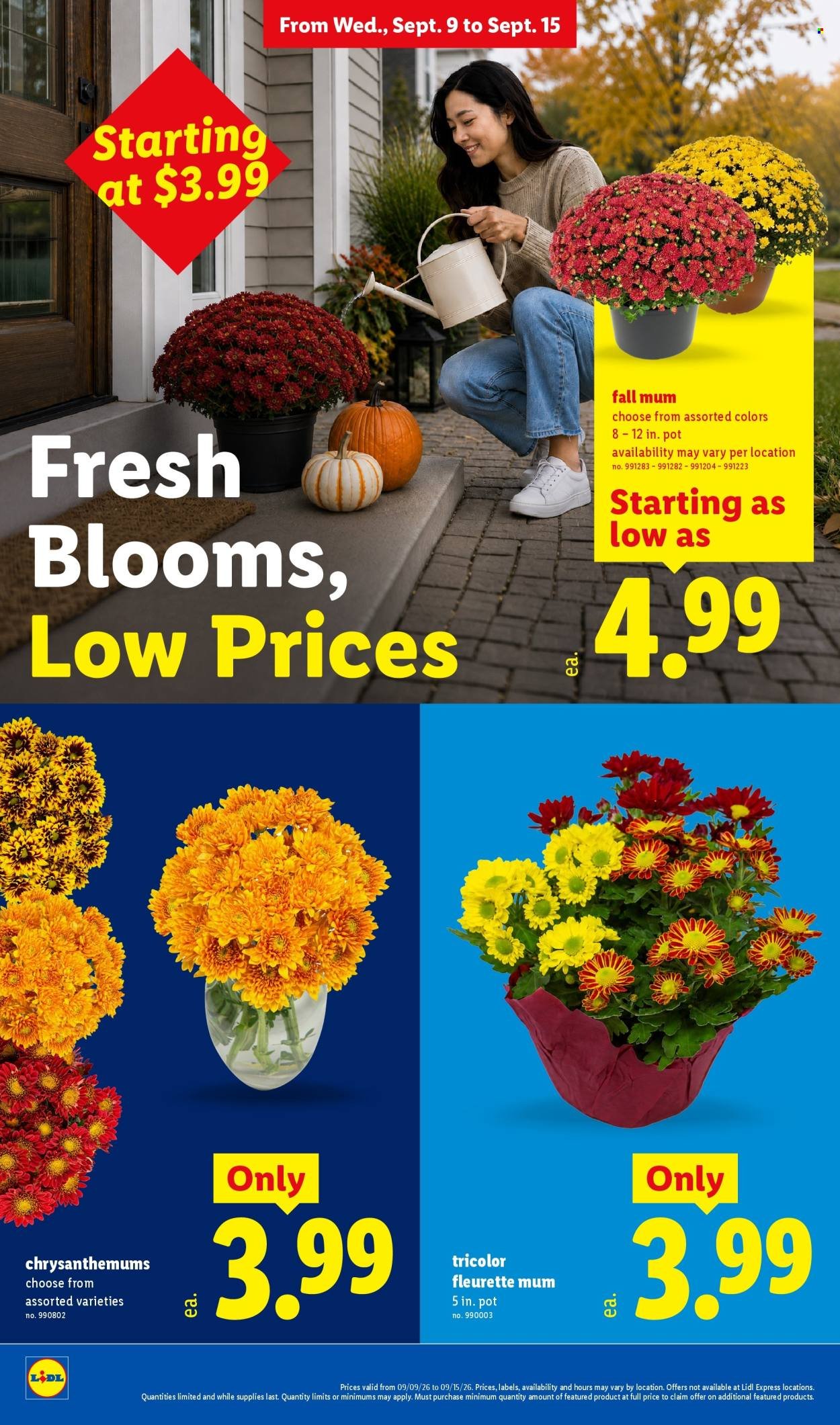 LIDL ad - Weekly Ad