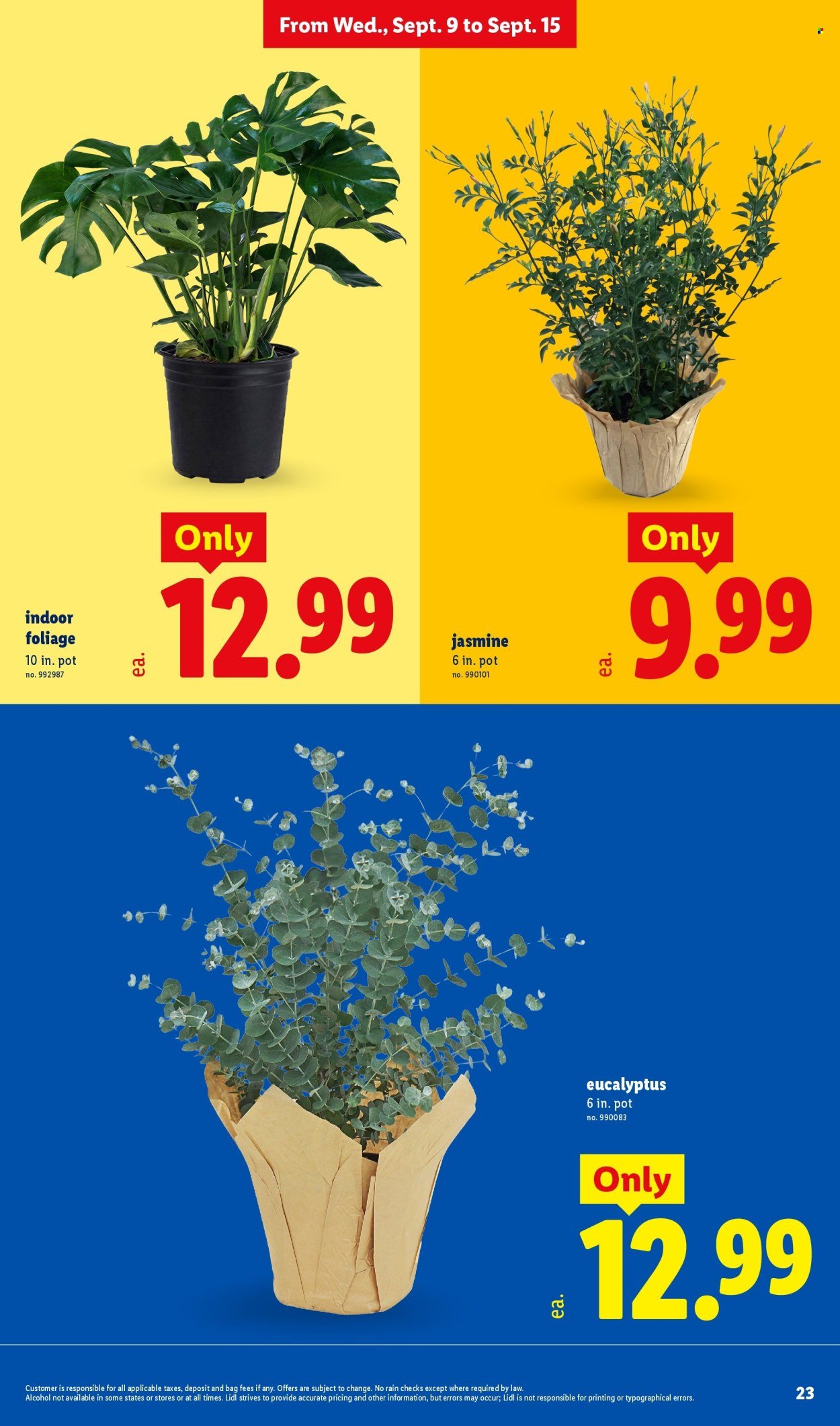 LIDL ad - Weekly Ad