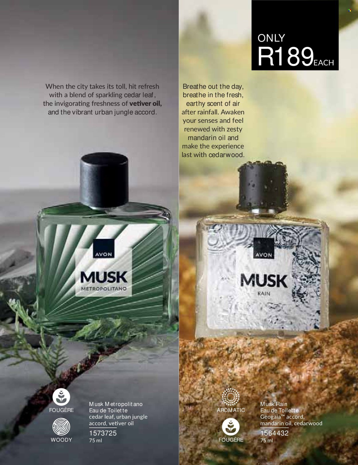 AVON specials - September