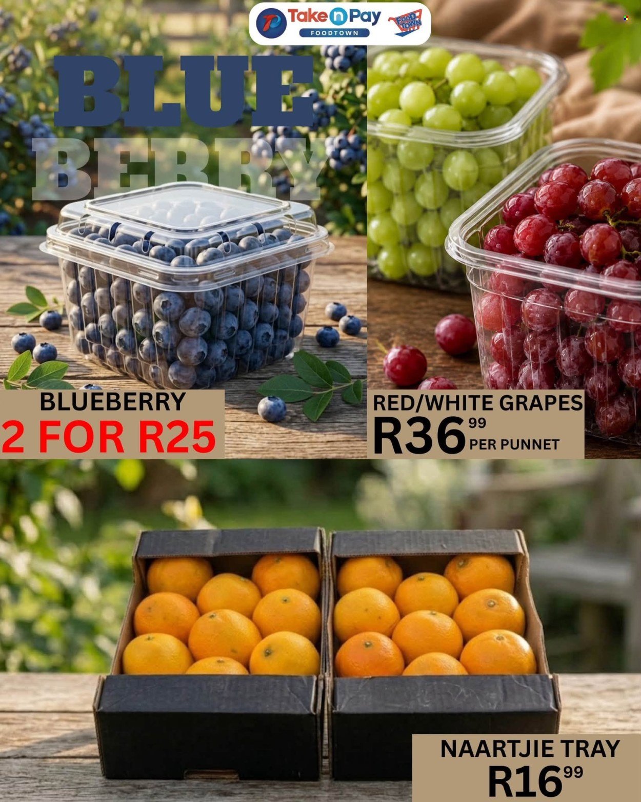 TAKE N PAY specials - From Friday 21 Aug 2026