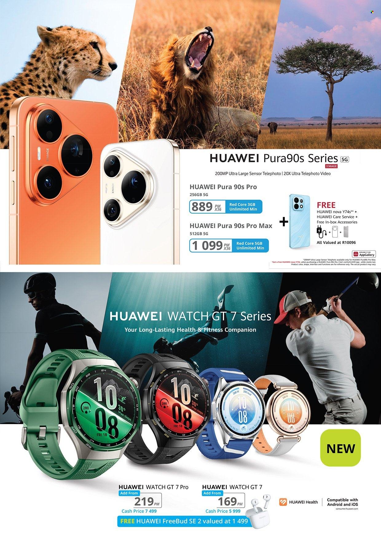 CELLUCITY specials - September 2026