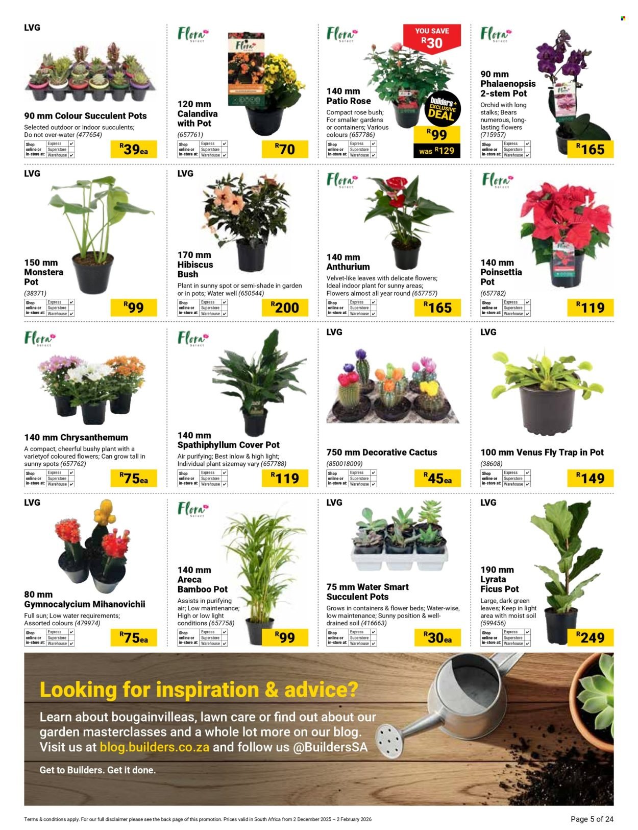 BUILDERS specials - Summer catalogue (2025-12-02 - 2026-02-02) | 5