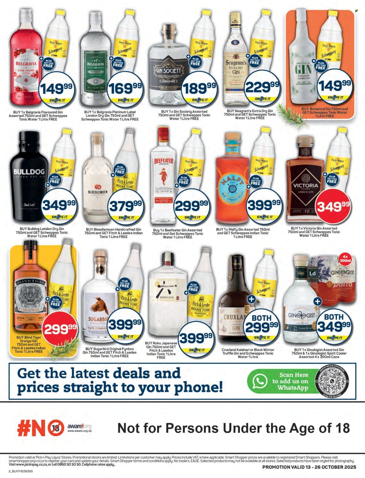 PICK N PAY specials - Gin Festival Specials (2025-10-13 - 2025-10-26) | 2