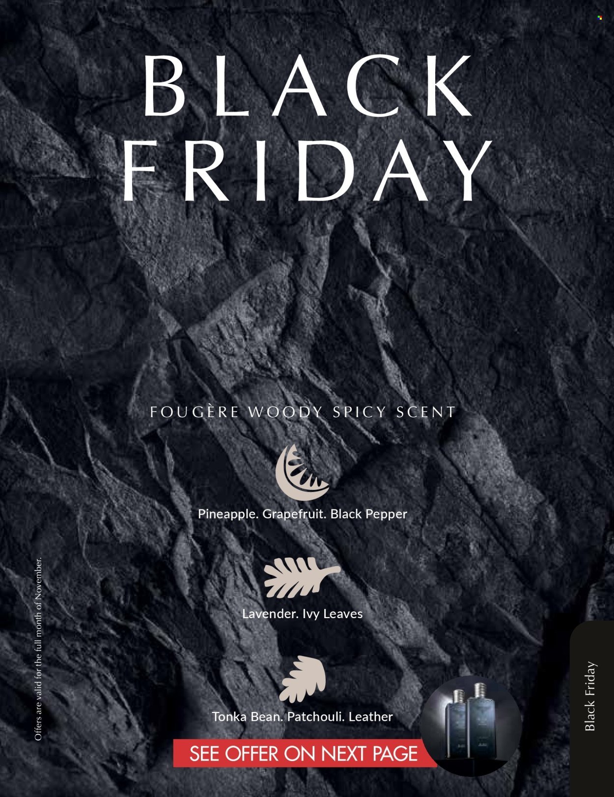 JUSTINE specials - NOVEMBER (2025-11-01 - 2025-11-30) | 101