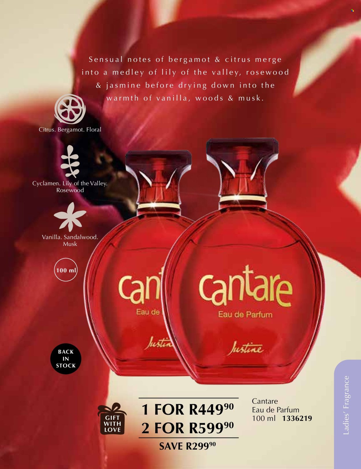 JUSTINE specials - NOVEMBER (2025-11-01 - 2025-11-30) | 52