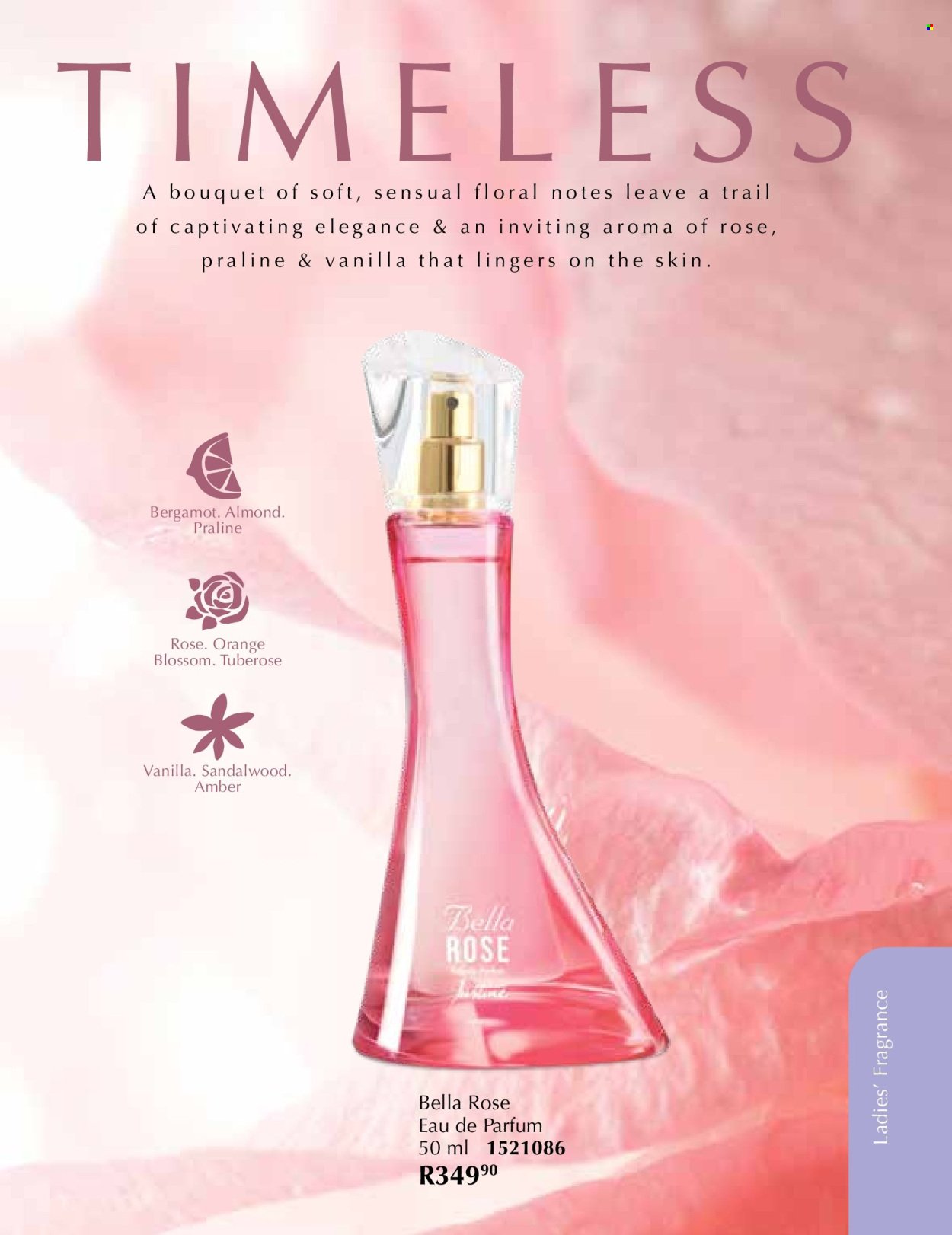 JUSTINE specials - NOVEMBER (2025-11-01 - 2025-11-30) | 53