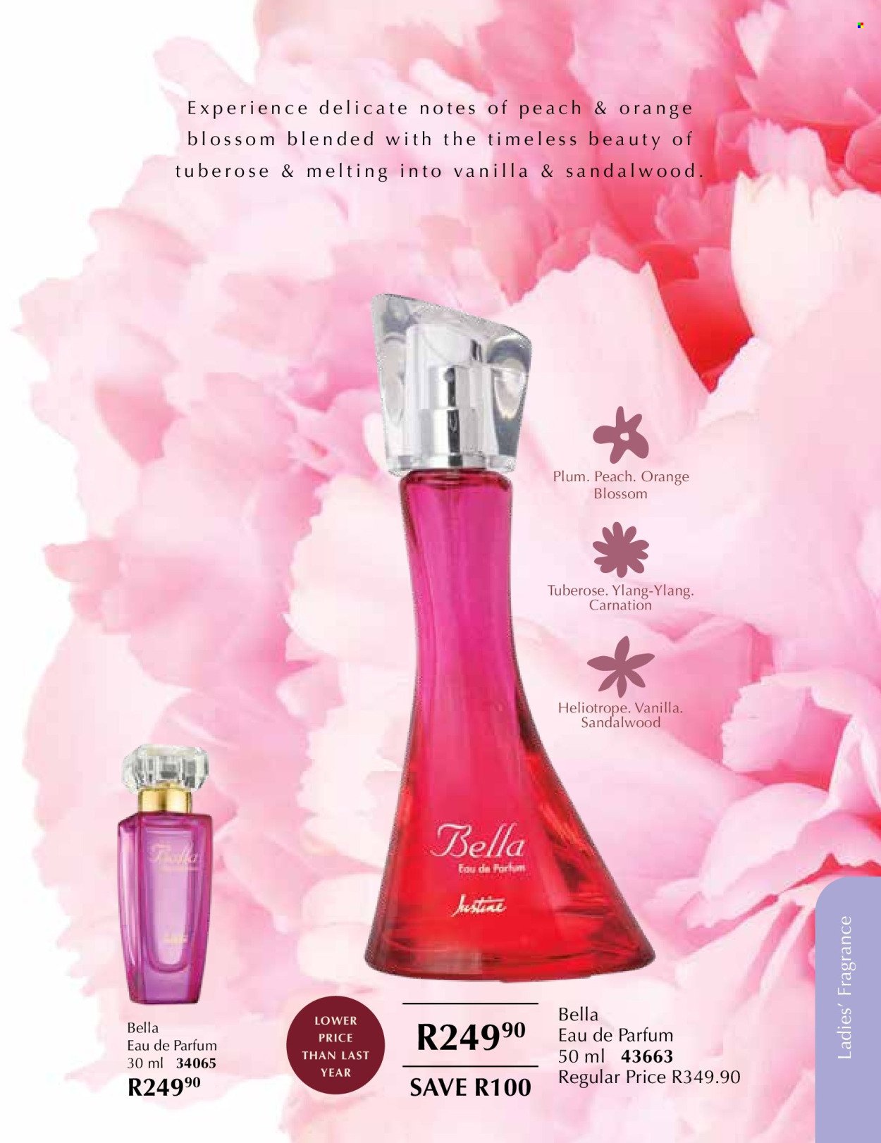 JUSTINE specials - NOVEMBER (2025-11-01 - 2025-11-30) | 54