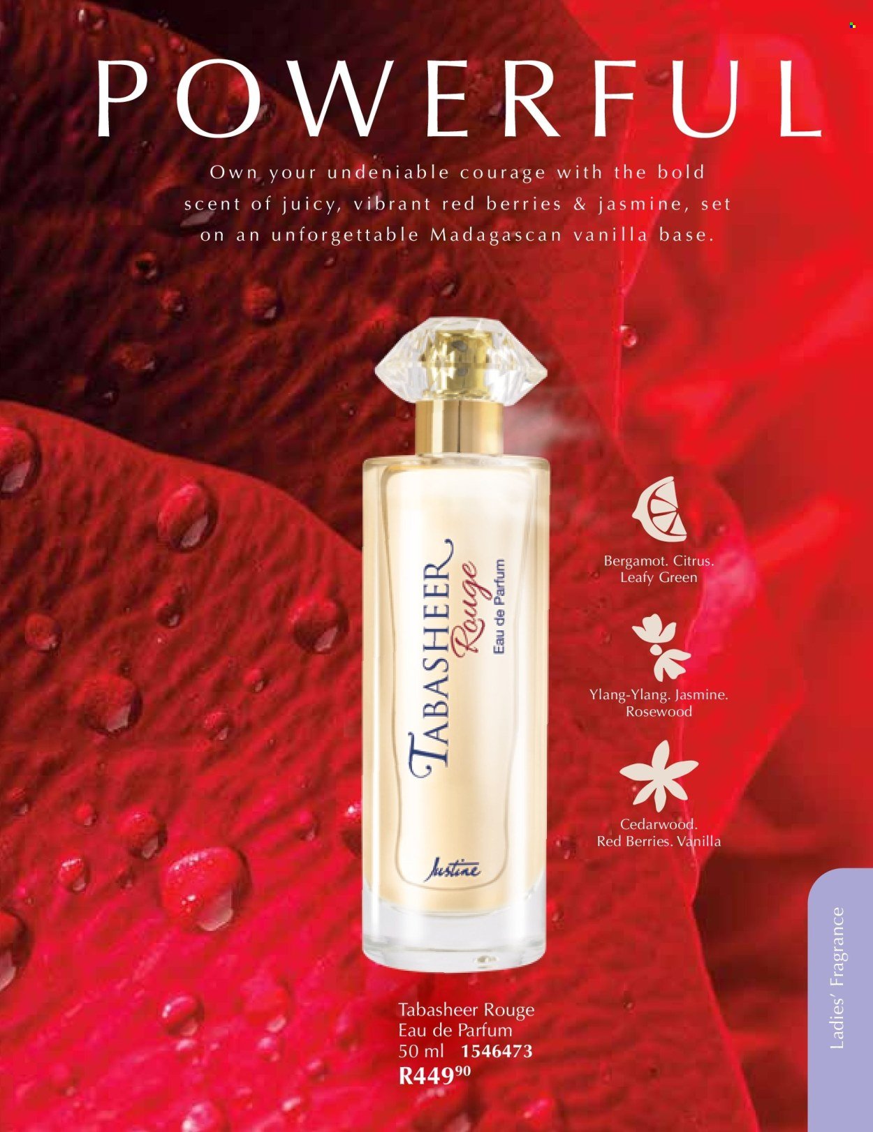 JUSTINE specials - NOVEMBER (2025-11-01 - 2025-11-30) | 58