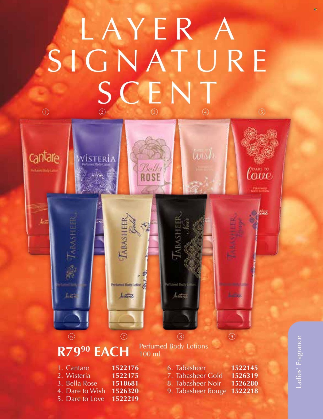 JUSTINE specials - NOVEMBER (2025-11-01 - 2025-11-30) | 61