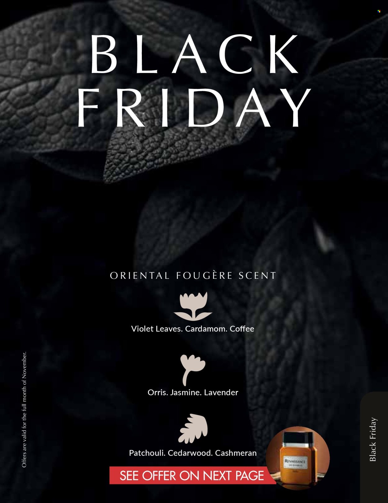 JUSTINE specials - NOVEMBER (2025-11-01 - 2025-11-30) | 97