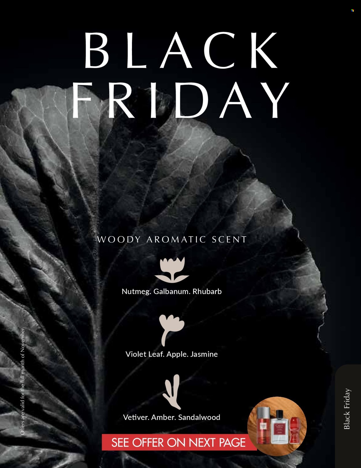 JUSTINE specials - NOVEMBER (2025-11-01 - 2025-11-30) | 99